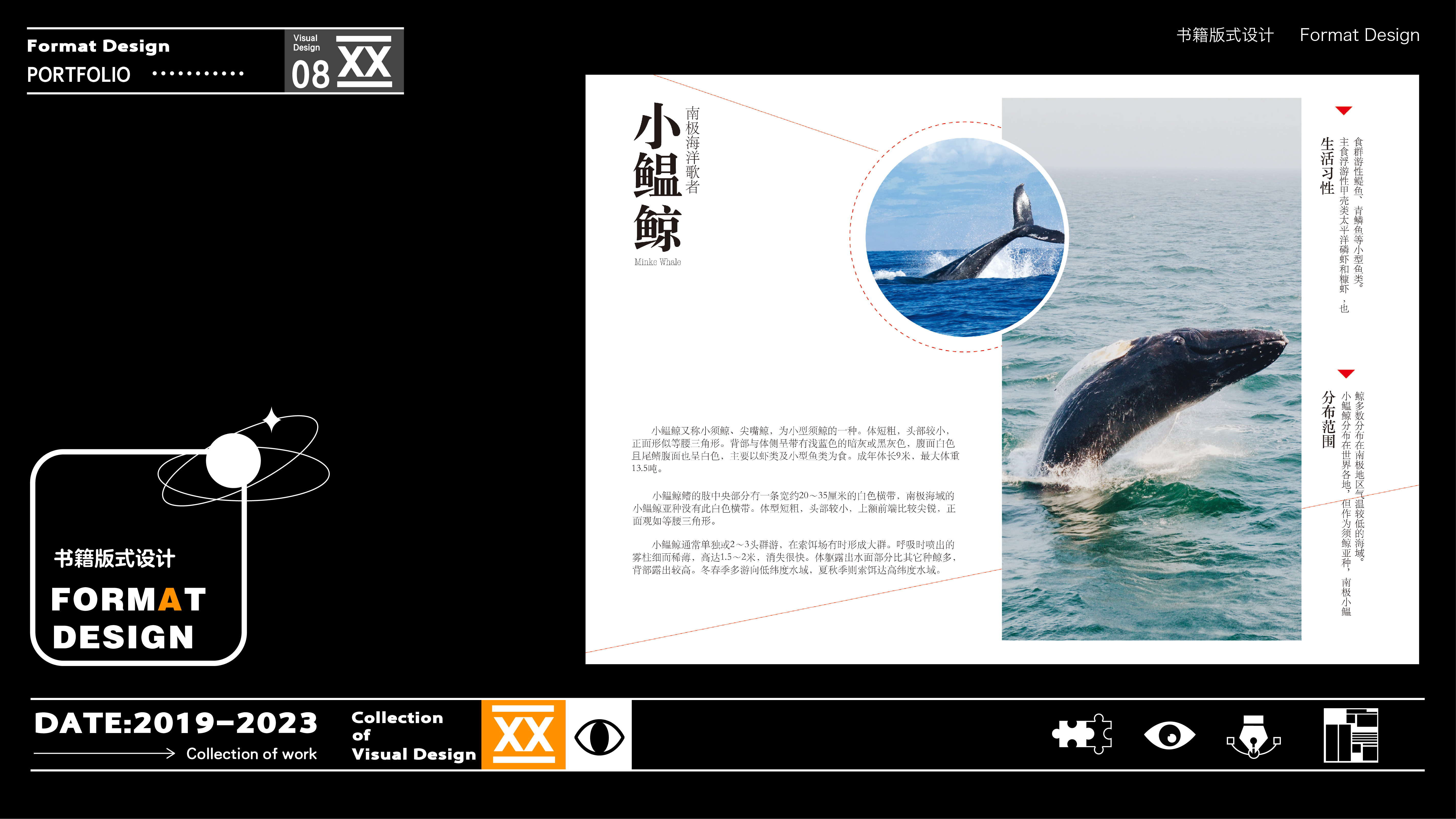 过渡页_画板 1 副本 3.jpg