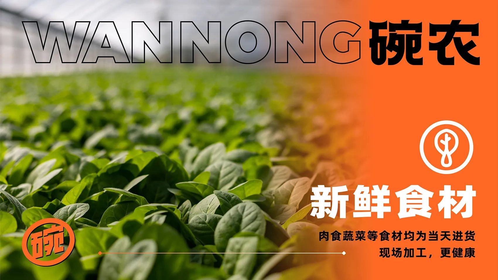 碗农小碗菜全案设计 ∣ 森度品牌-13.jpg