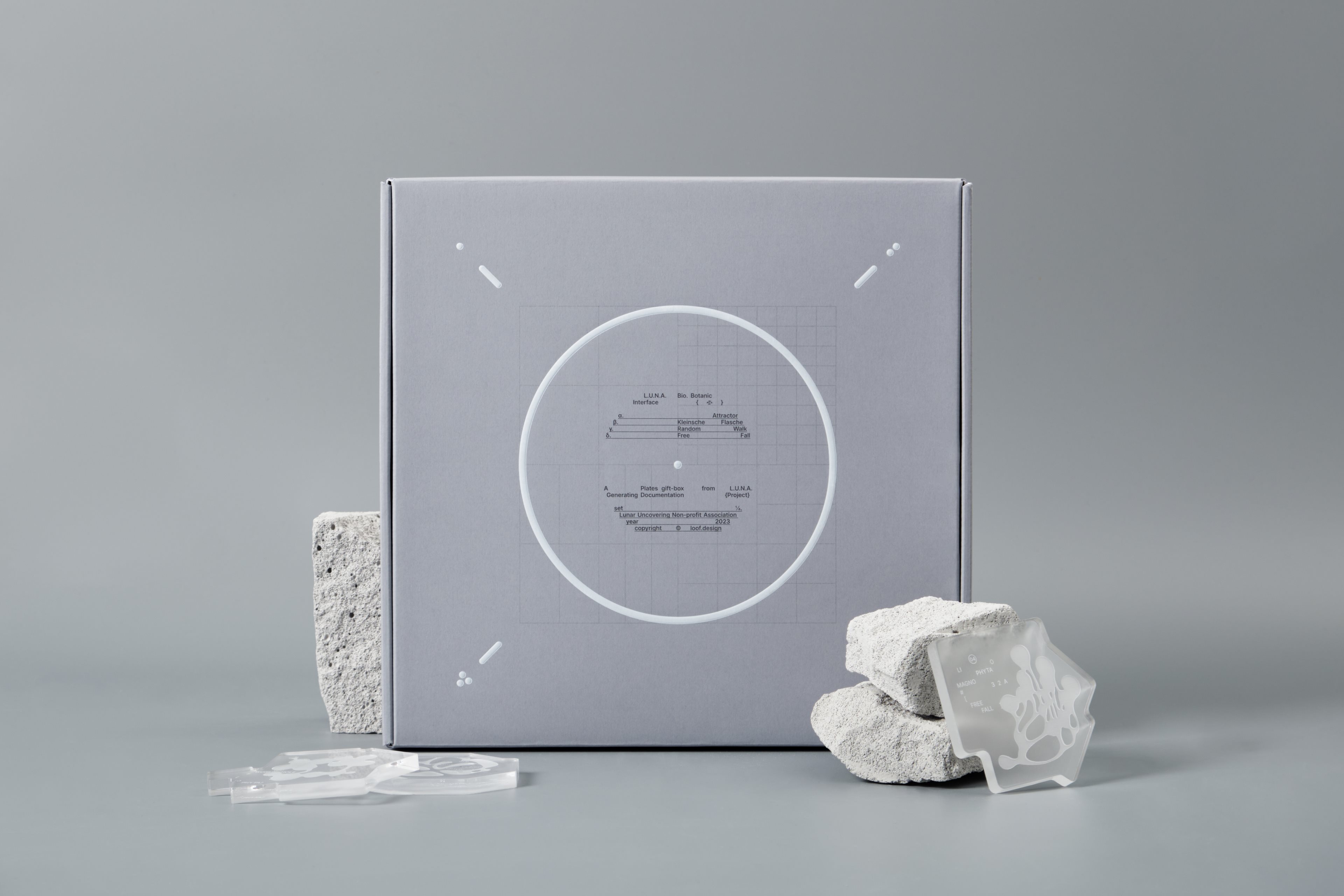 包装 视觉识别 打印 礼物 包裹 3D-01.jpg