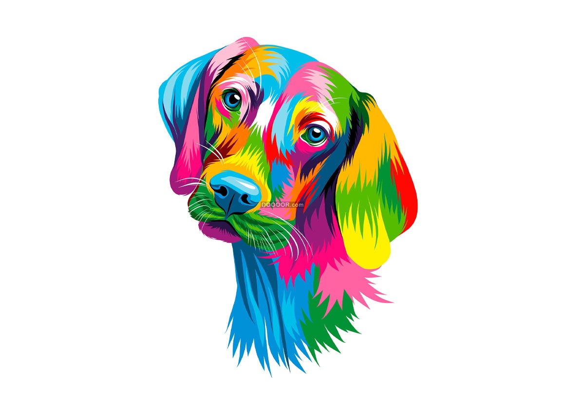 01884_匈牙利维兹拉犬头像彩色插图EPS素材.jpg