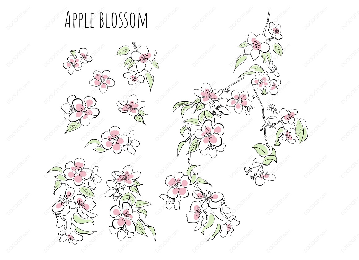 02074_开花苹果树集装饰元素树枝花叶矢量插图.jpg