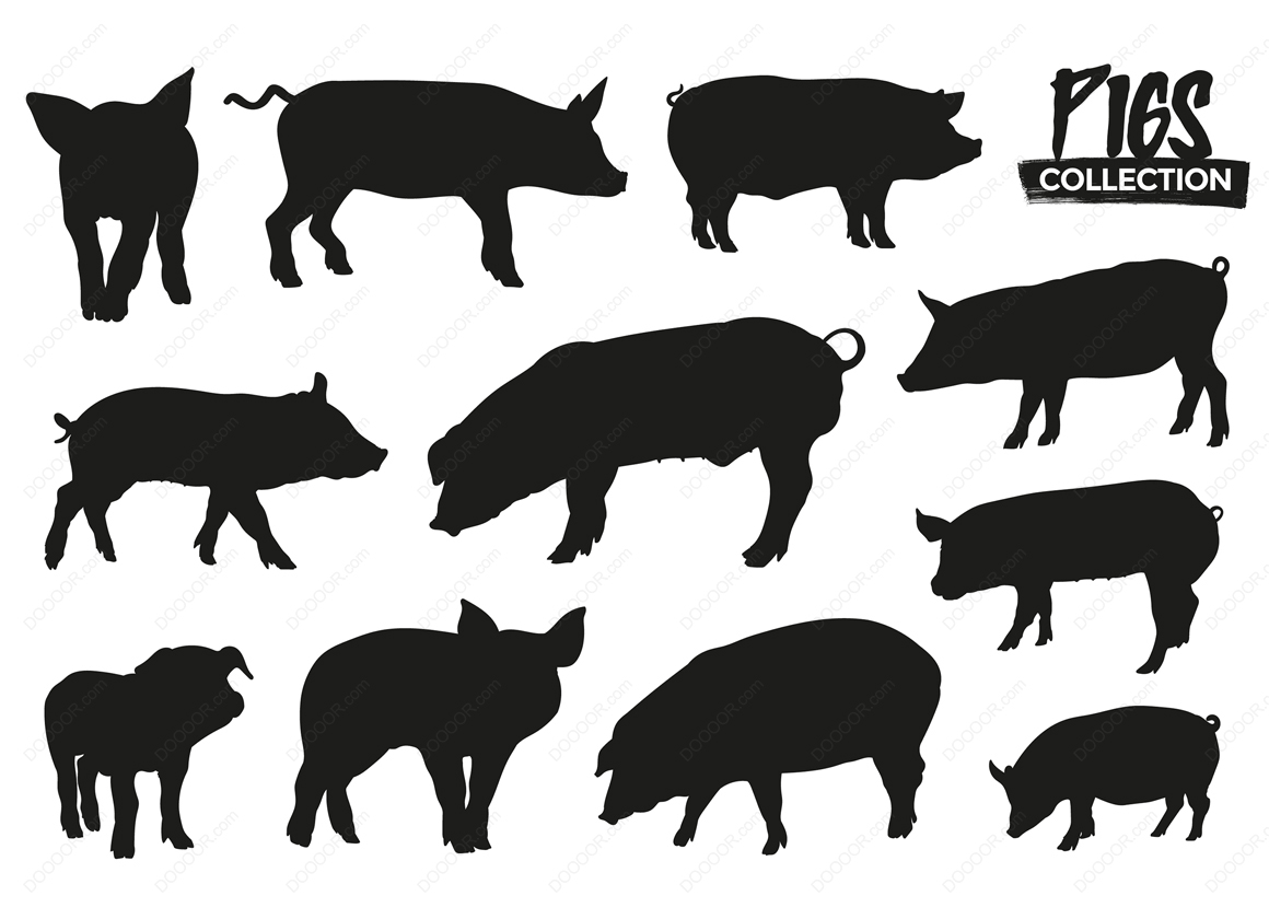 猪舍、猪场的平面图；刨面图及100头母猪的栏位计算参考！ - 知乎