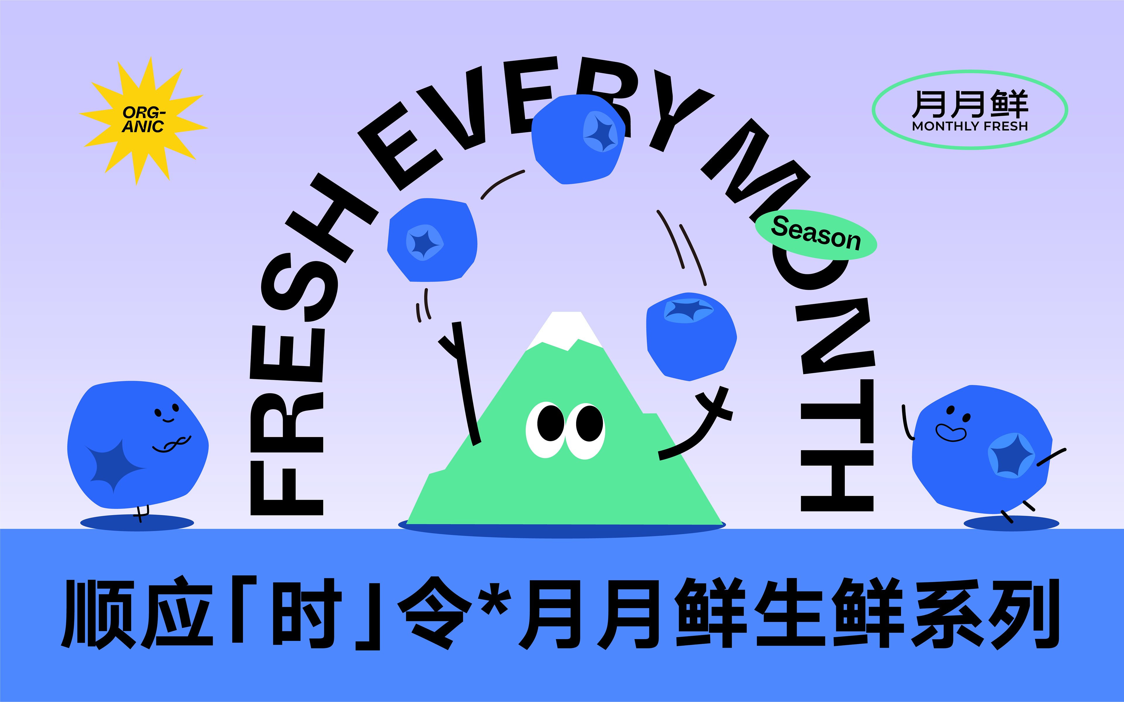 【山生物】高山水果品牌IP设计养生坚果礼盒包装设计-17.jpg