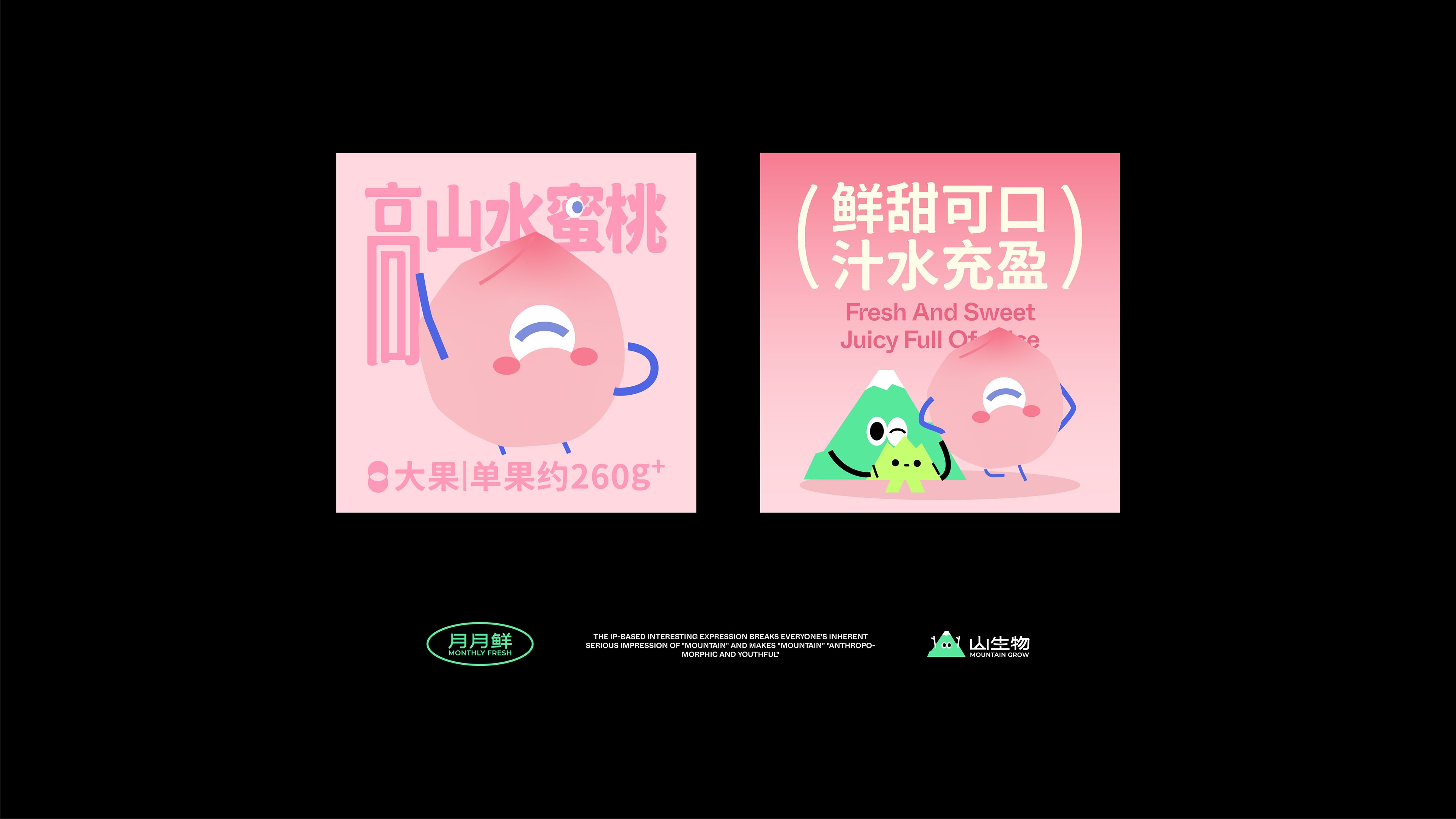 【山生物】高山水果品牌IP设计养生坚果礼盒包装设计-18.jpg