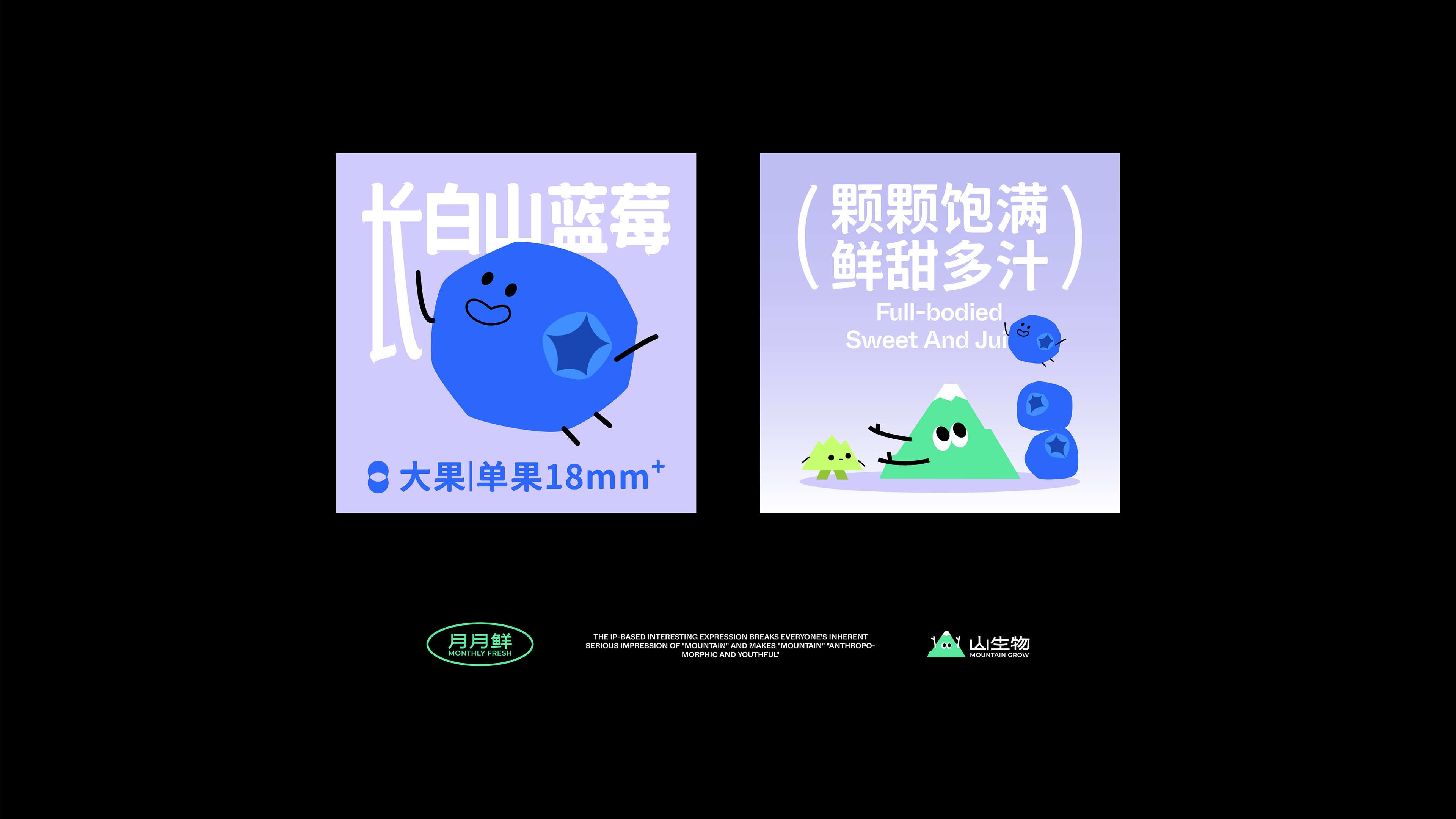 【山生物】高山水果品牌IP设计养生坚果礼盒包装设计-25.jpg