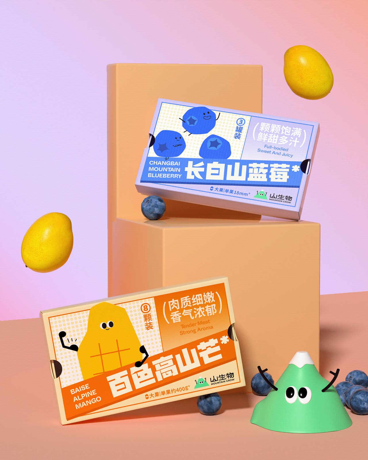 【山生物】高山水果品牌IP设计养生坚果礼盒包装设计-31.jpg