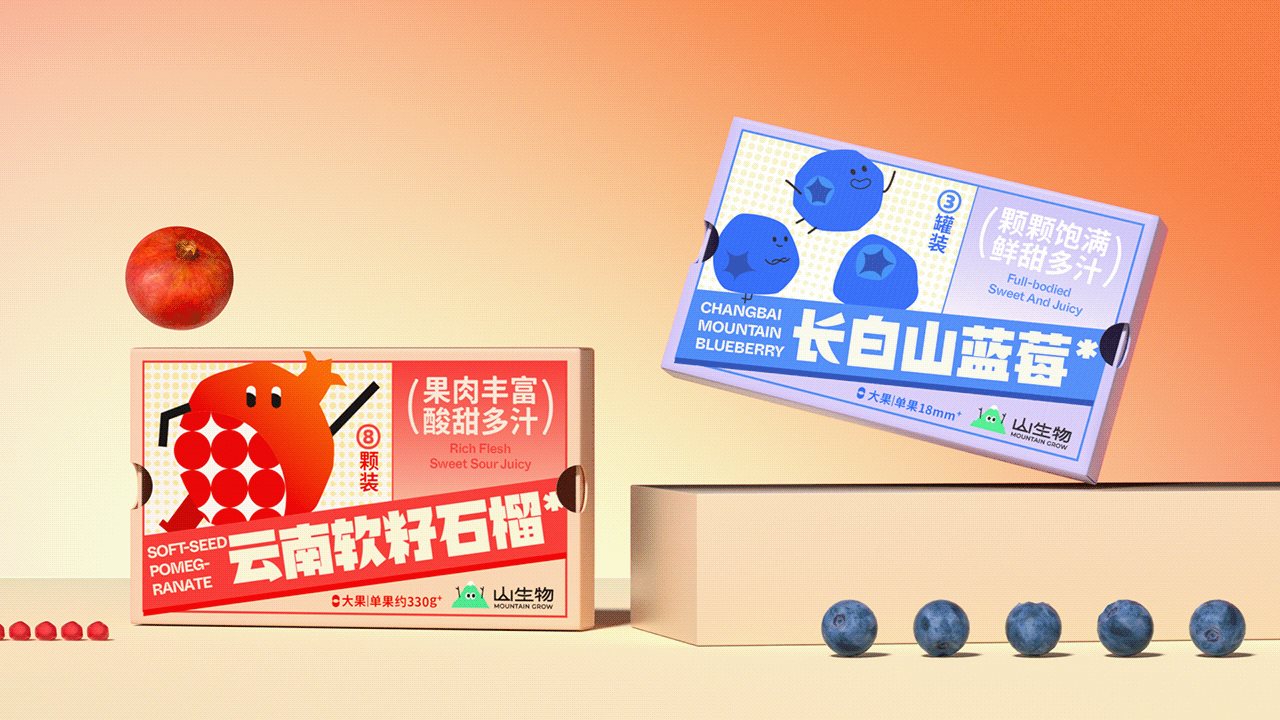 【山生物】高山水果品牌IP设计养生坚果礼盒包装设计-32.jpg