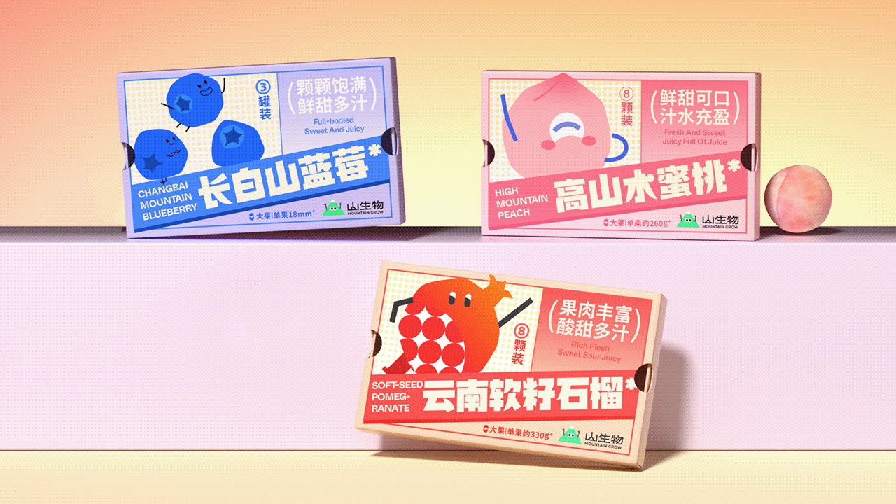 【山生物】高山水果品牌IP设计养生坚果礼盒包装设计-34.jpg