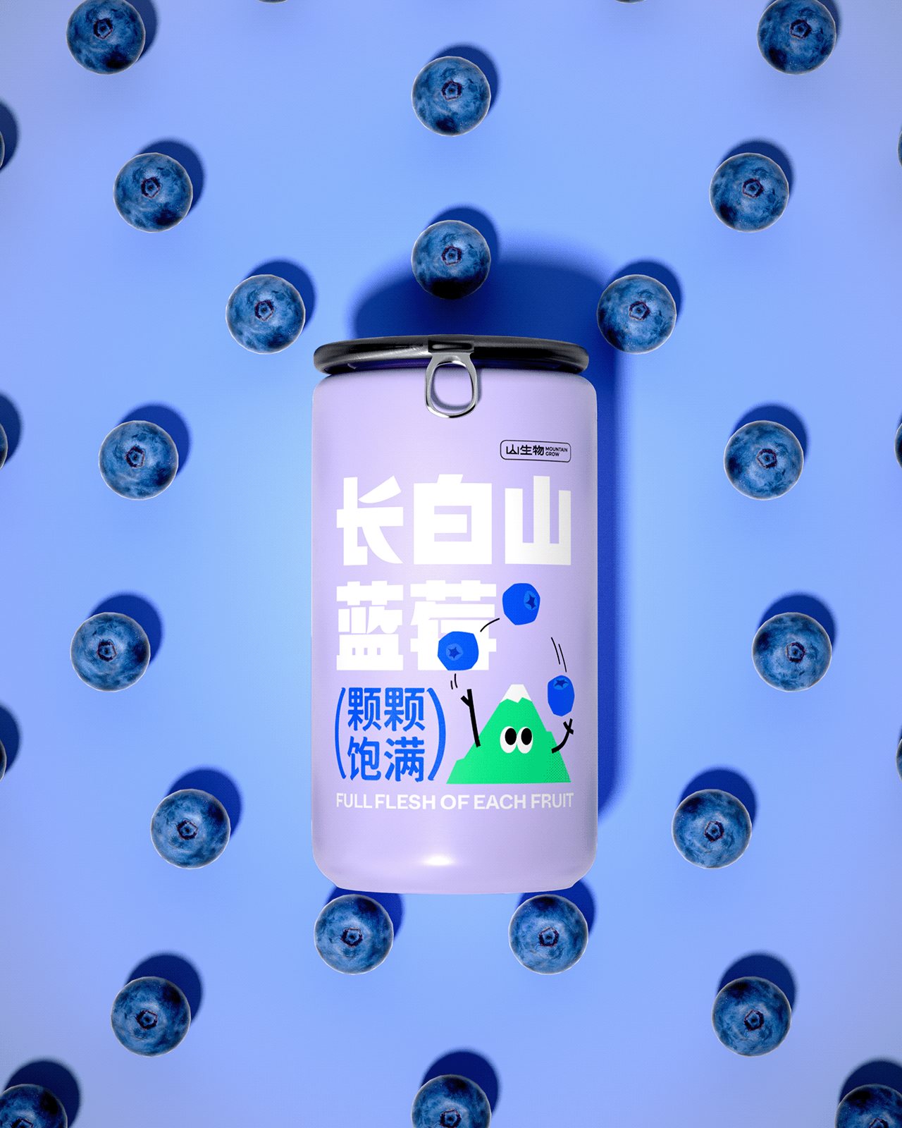 【山生物】高山水果品牌IP设计养生坚果礼盒包装设计-41.jpg