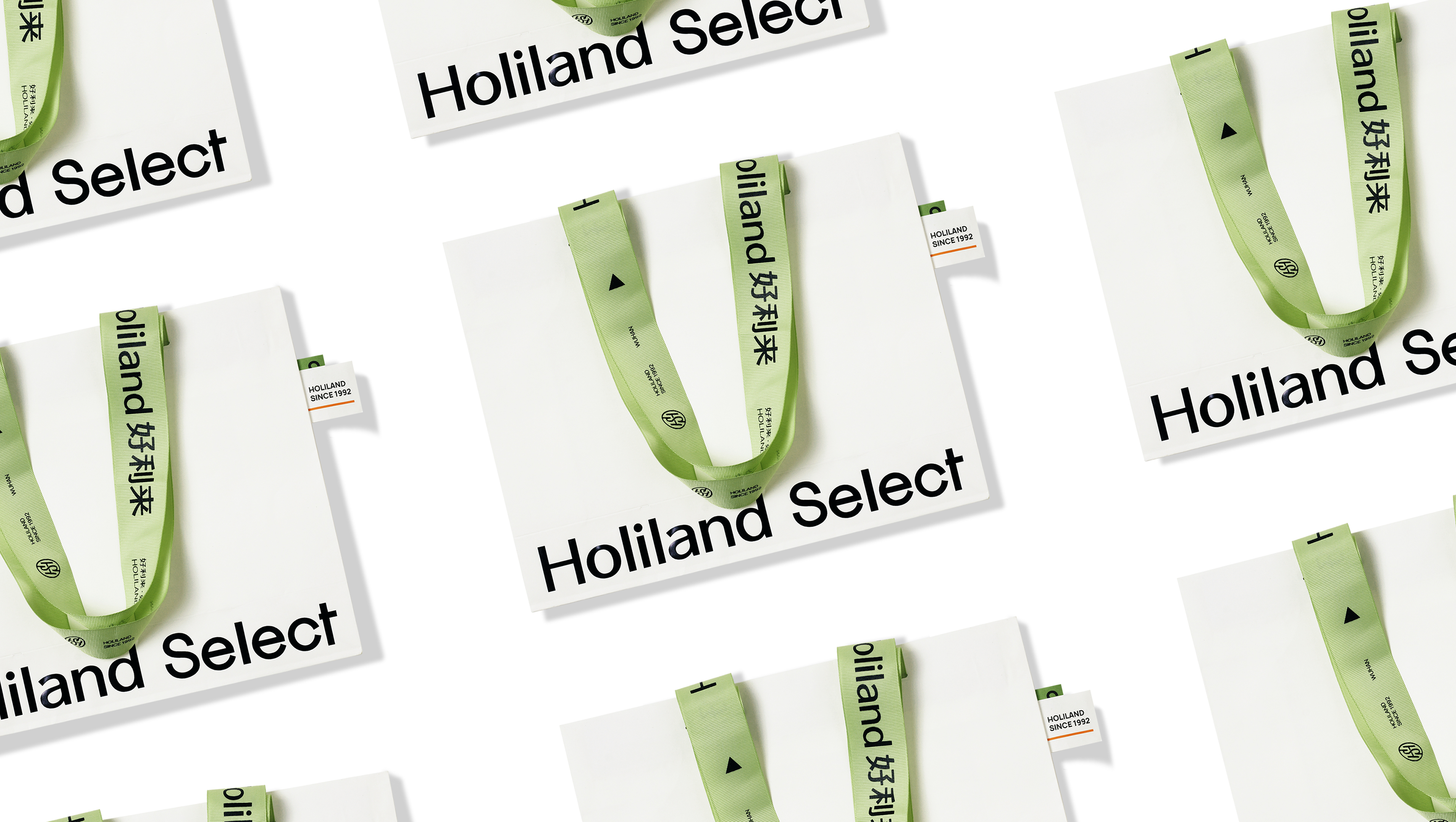 Holiland好利来主题店VI与包装-06.jpg