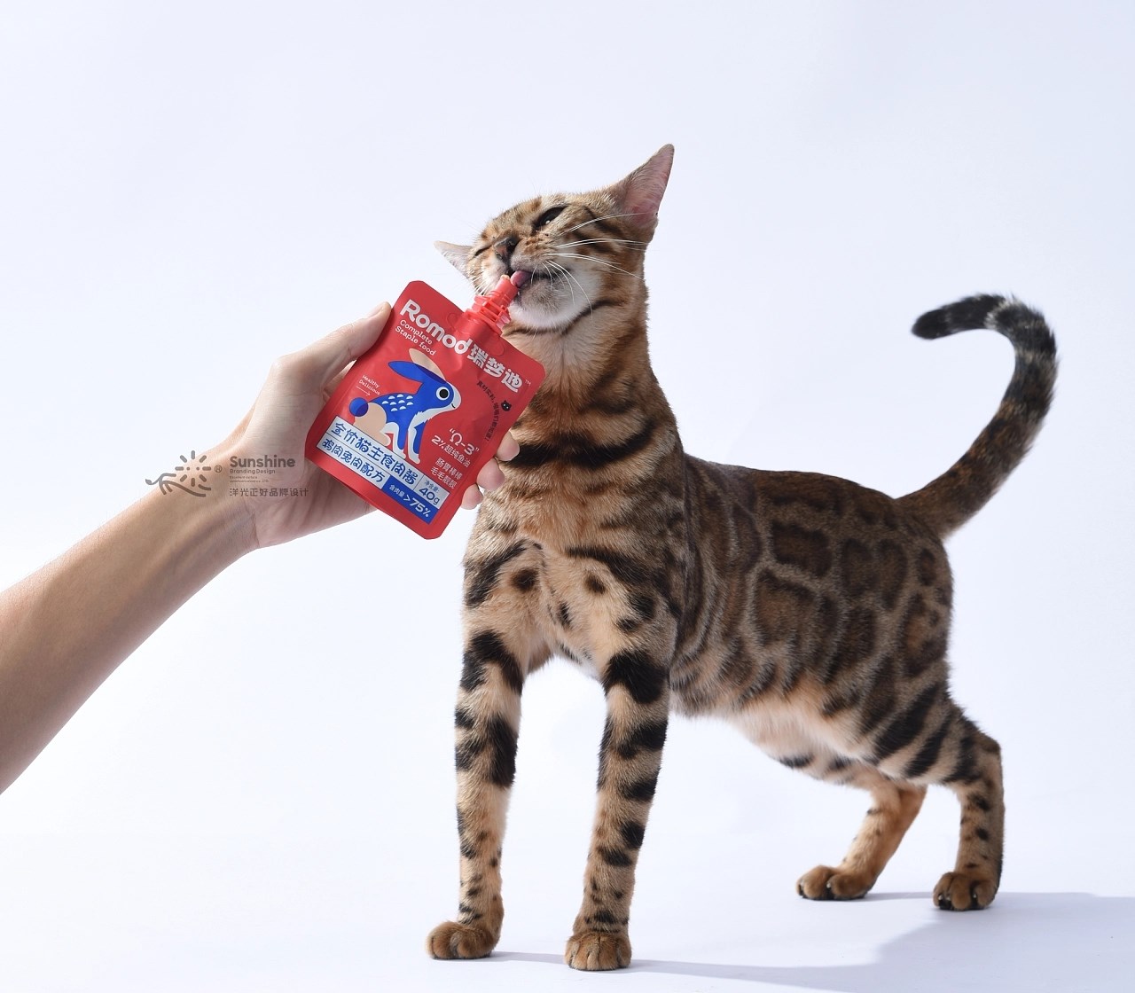猫粮宠物零食包装+重庆-郑昌洪+[34P]+(11).jpg