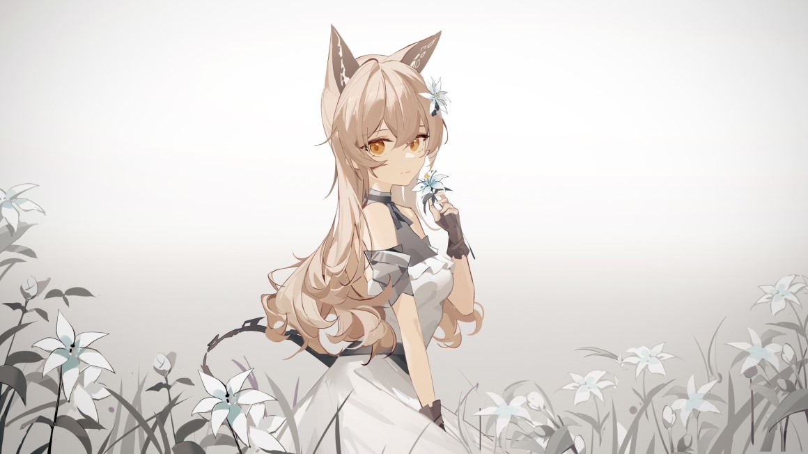 01277_动漫女孩狐狸耳朵狐狸女孩.jpg