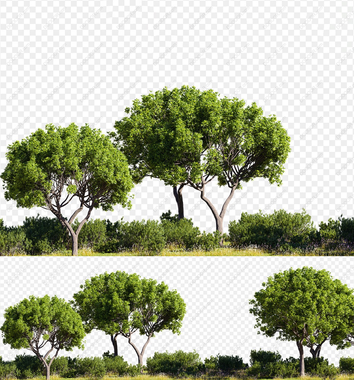03495_3D渲染插图绿树丛透明背景PSD素材-01.jpg