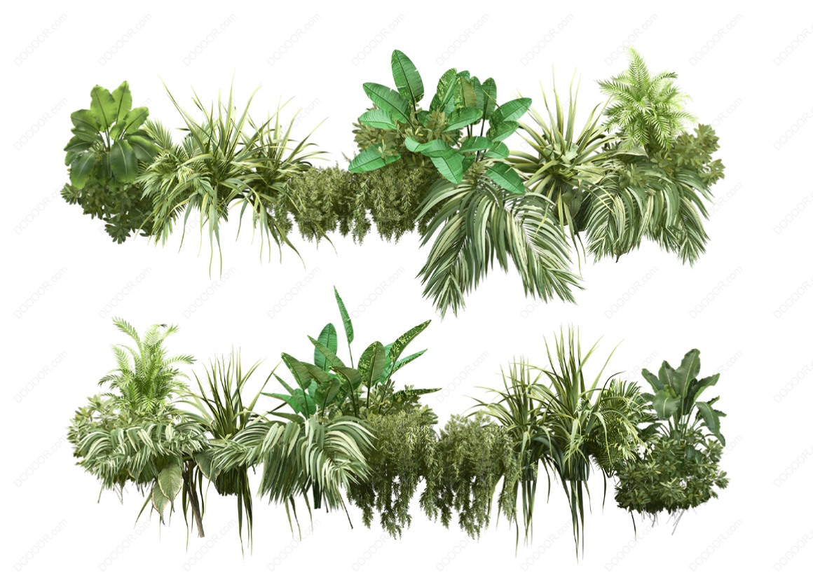 04113_绿色草本植物叶子透明PSD素材-2.jpg