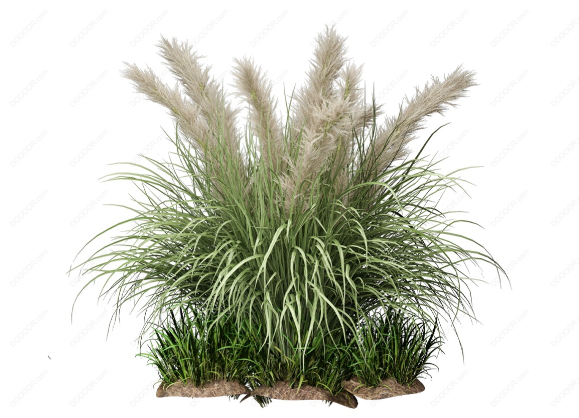 04121_绿色草本植物叶子透明园林景观设计PSD素材-4.jpg