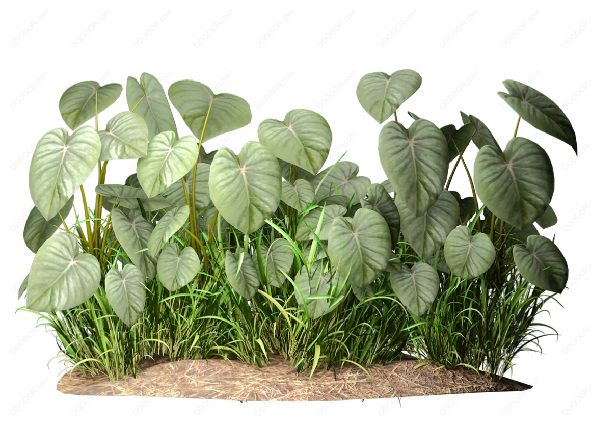 04123_绿色草本植物叶子透明园林景观设计PSD素材-6.jpg