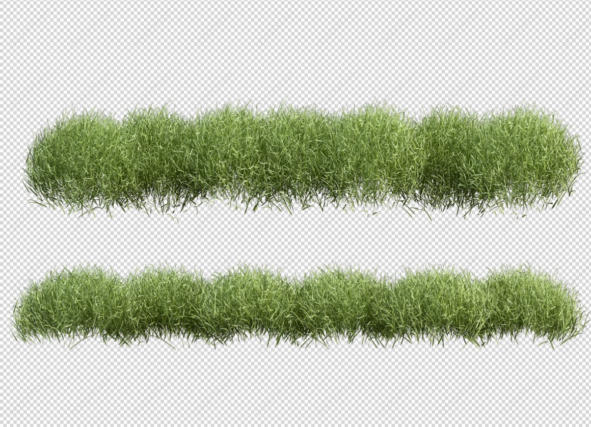 04130_绿色草本植物叶子透明园林景观设计PSD素材-13.jpg