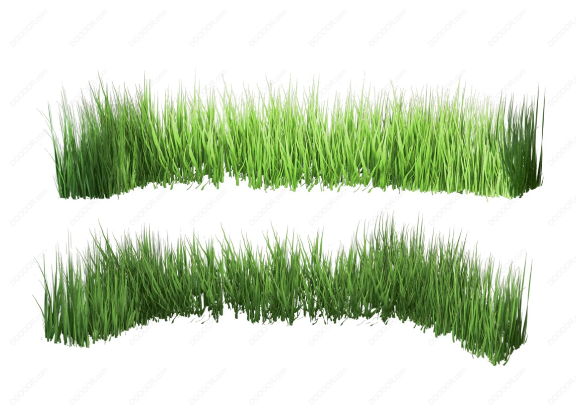 04129_绿色草本植物叶子透明园林景观设计PSD素材-12.jpg