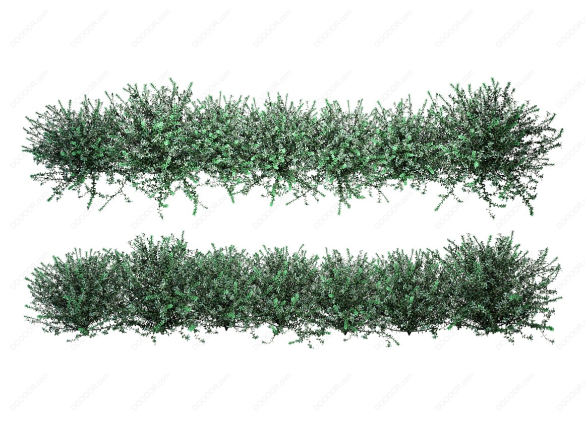 04135_绿色草本植物叶子透明园林景观设计PSD素材-18.jpg