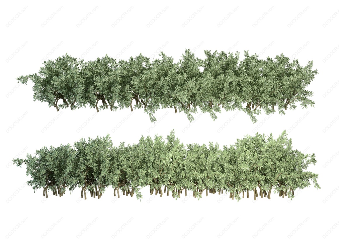 04136_绿色草本植物叶子透明园林景观设计PSD素材-19.jpg