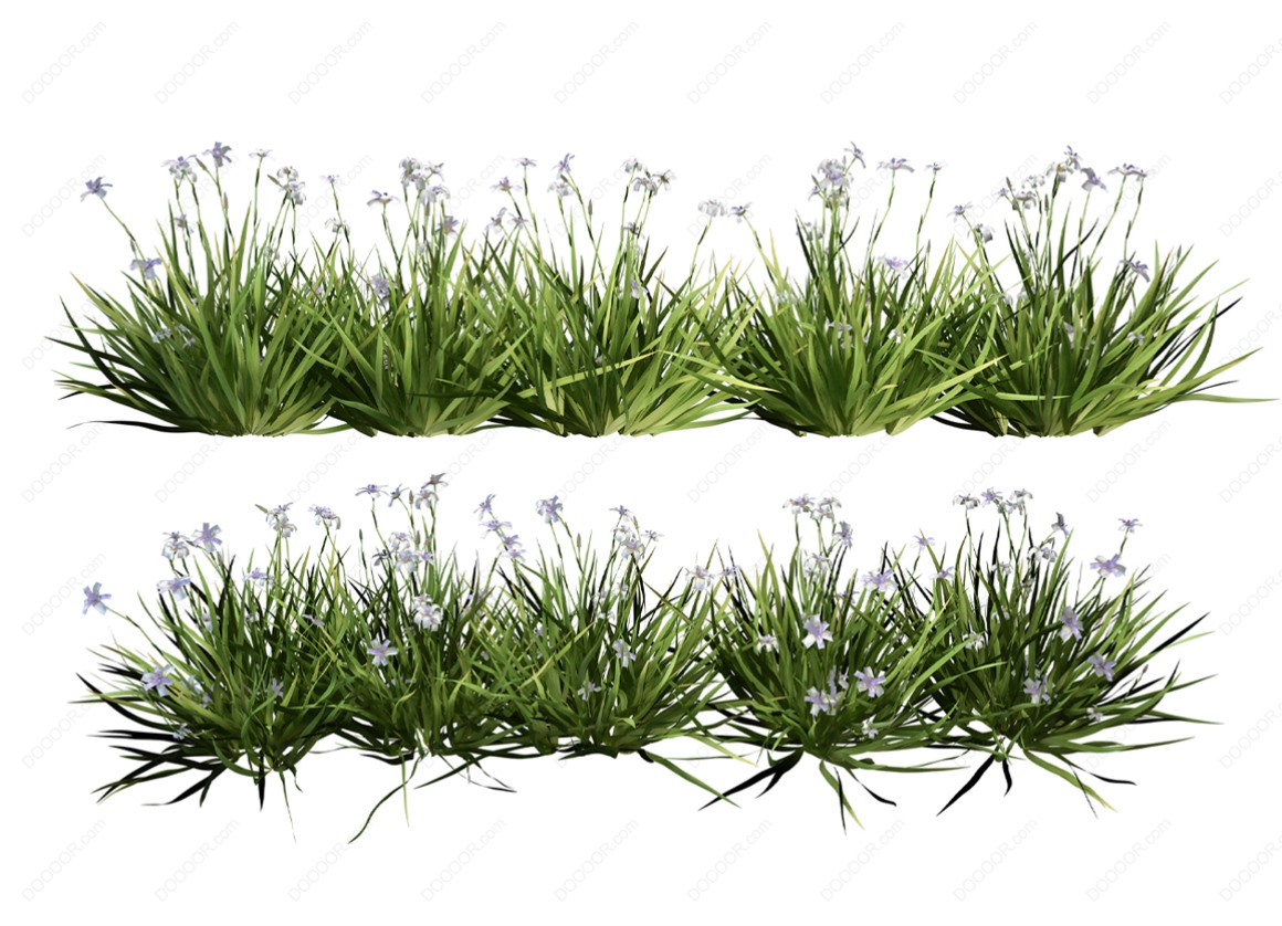 04140_绿色草本植物叶子透明园林景观设计PSD素材-23.jpg