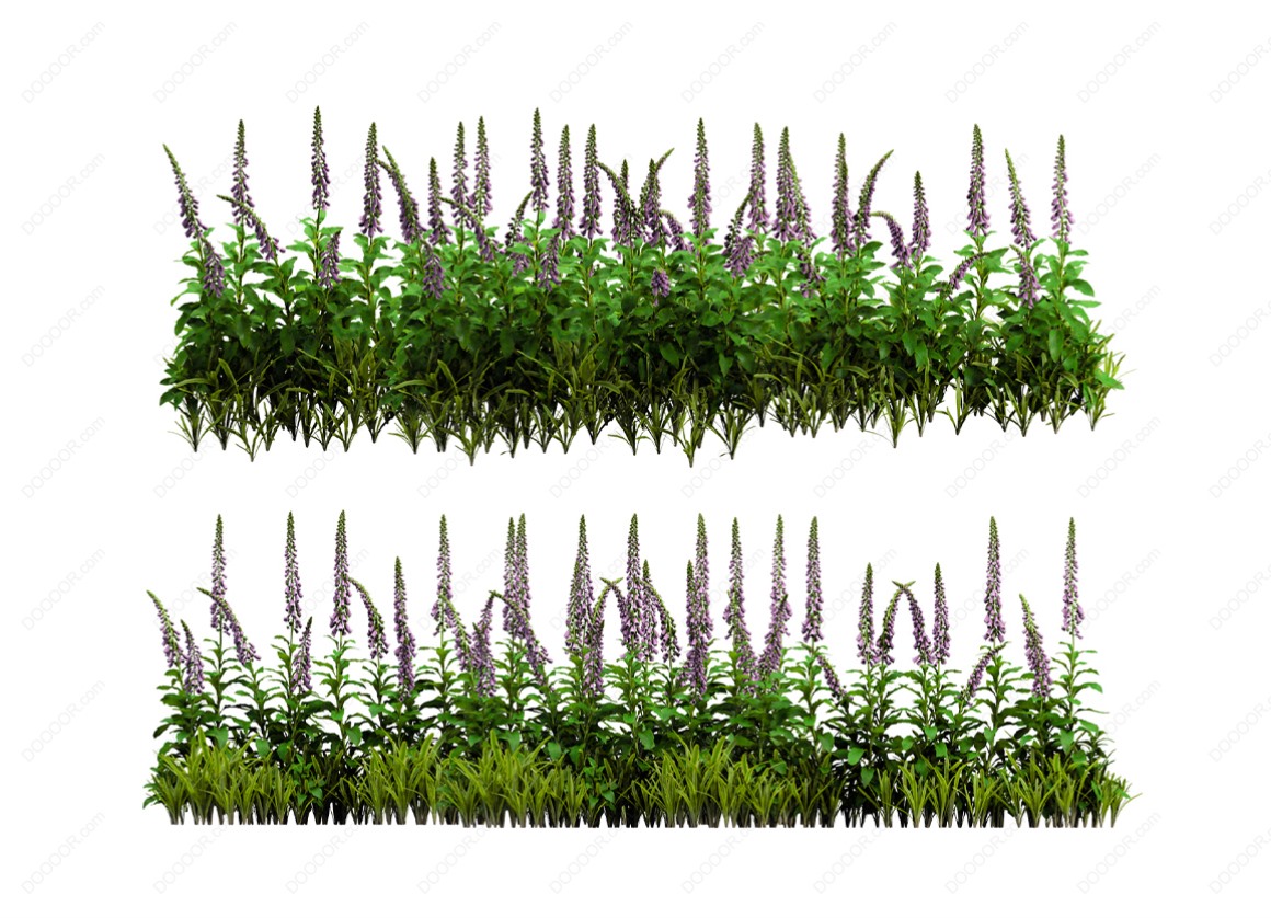 04137_绿色草本植物叶子透明园林景观设计PSD素材-20.jpg
