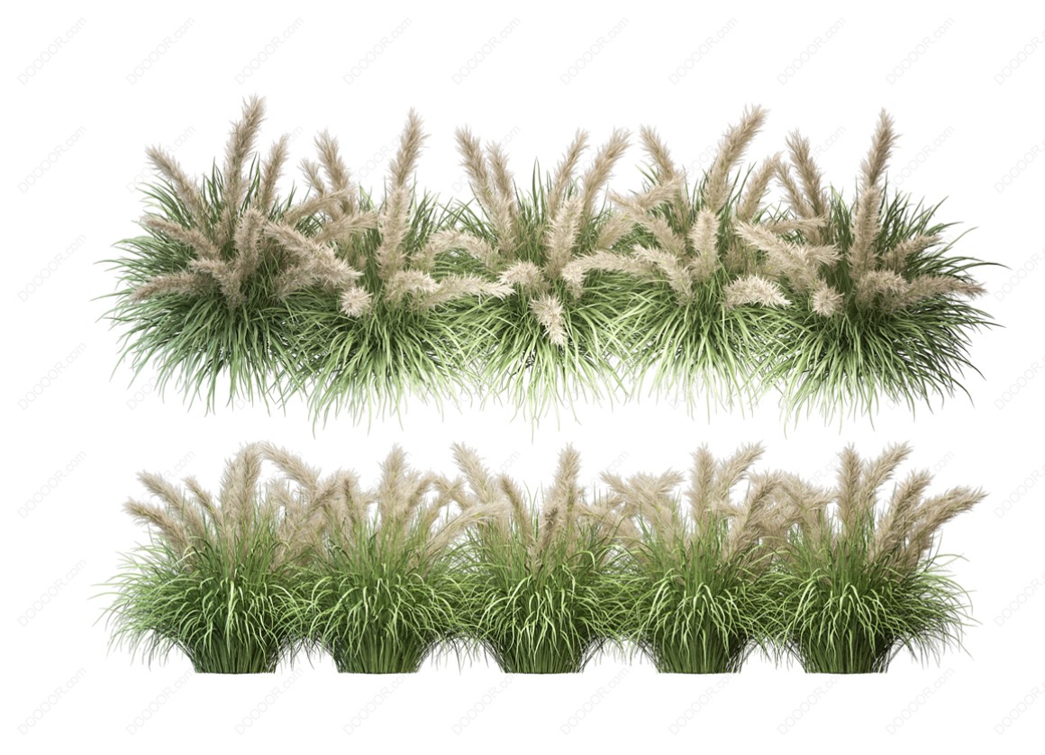 04144_绿色草本植物叶子透明园林景观设计PSD素材-27.jpg