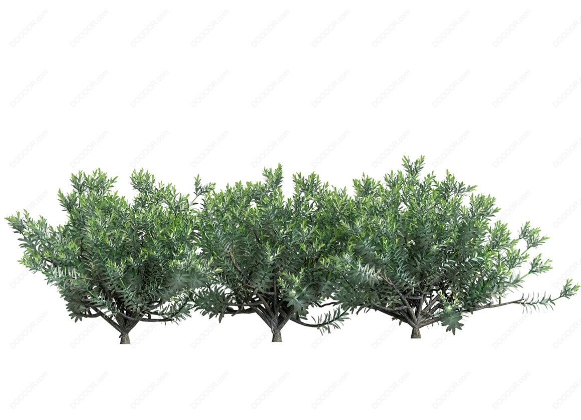 04149_绿色草本植物叶子透明园林景观设计PSD素材-32.jpg