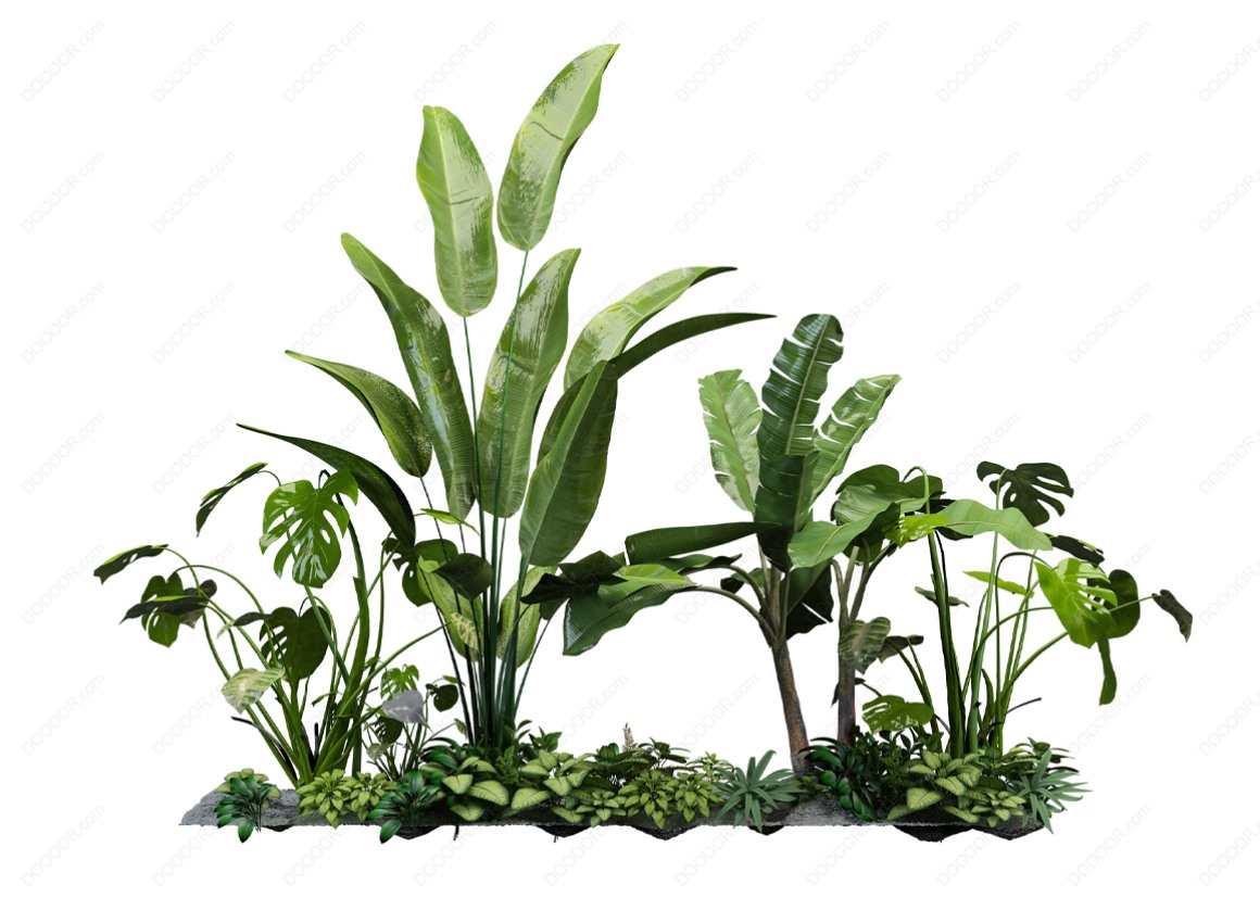 04151_绿色草本植物叶子透明园林景观设计PSD素材-34.jpg