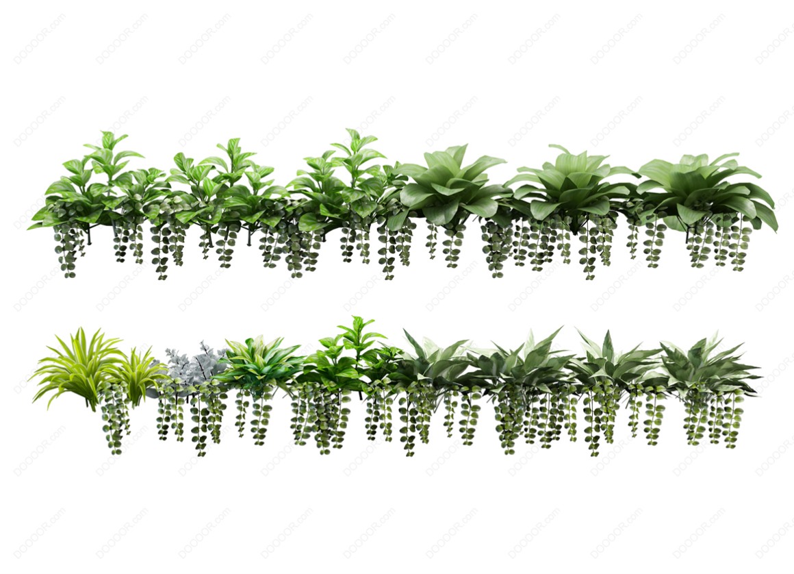 04155_绿色草本植物叶子透明园林景观设计PSD素材-38.jpg