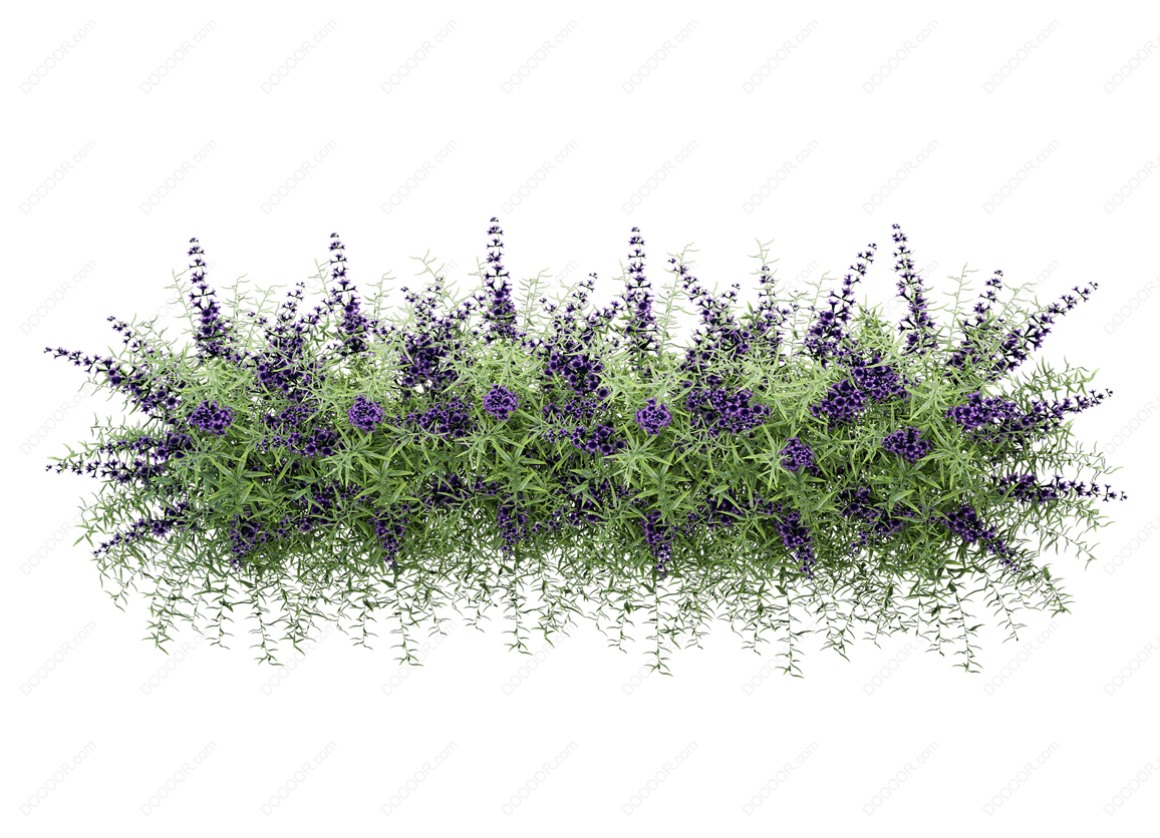 04154_绿色草本植物叶子透明园林景观设计PSD素材-37.jpg