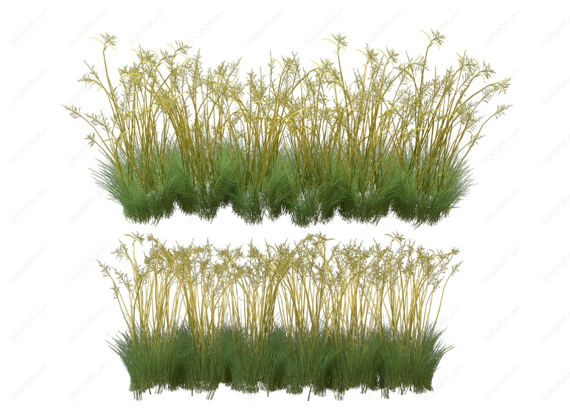 04158_绿色草本植物叶子透明园林景观设计PSD素材-41.jpg
