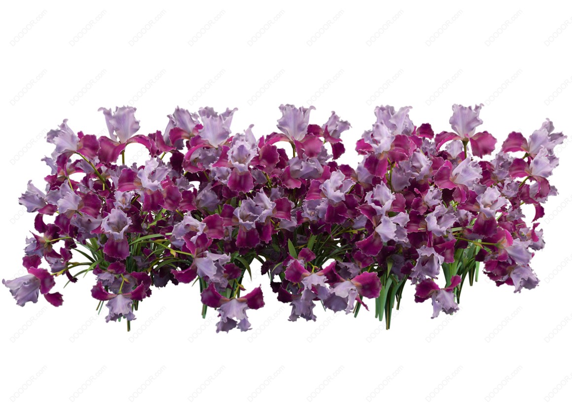 04164_绿色草本植物叶子透明园林景观设计PSD素材-47.jpg