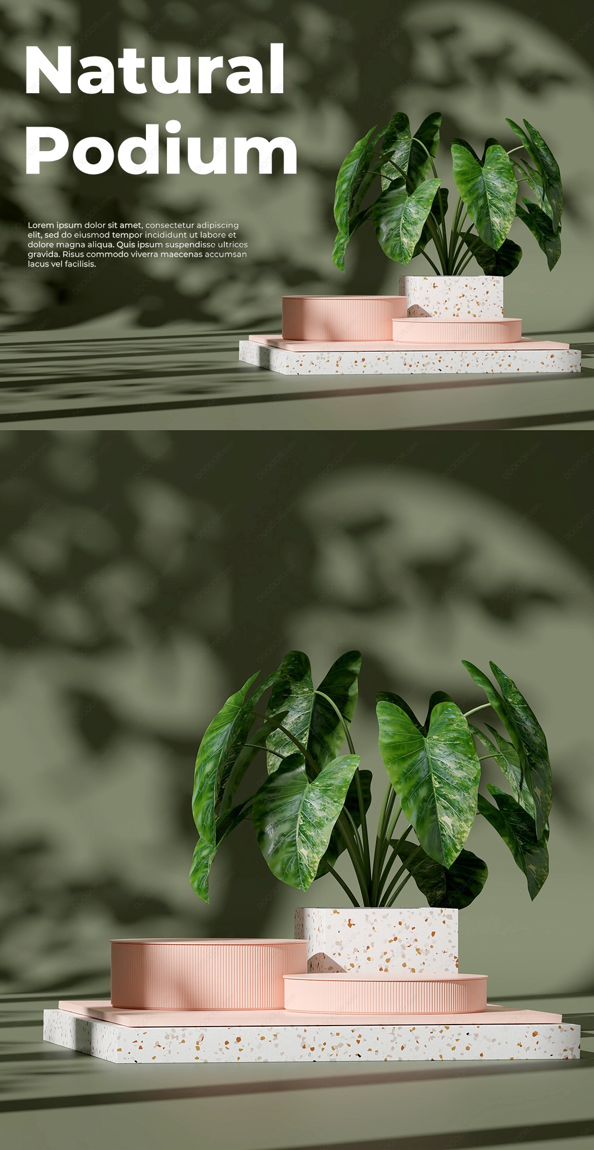 03850_自然环境墨绿色叶影斑驳3D产品展示台渲染PSD模型素材-4.jpg