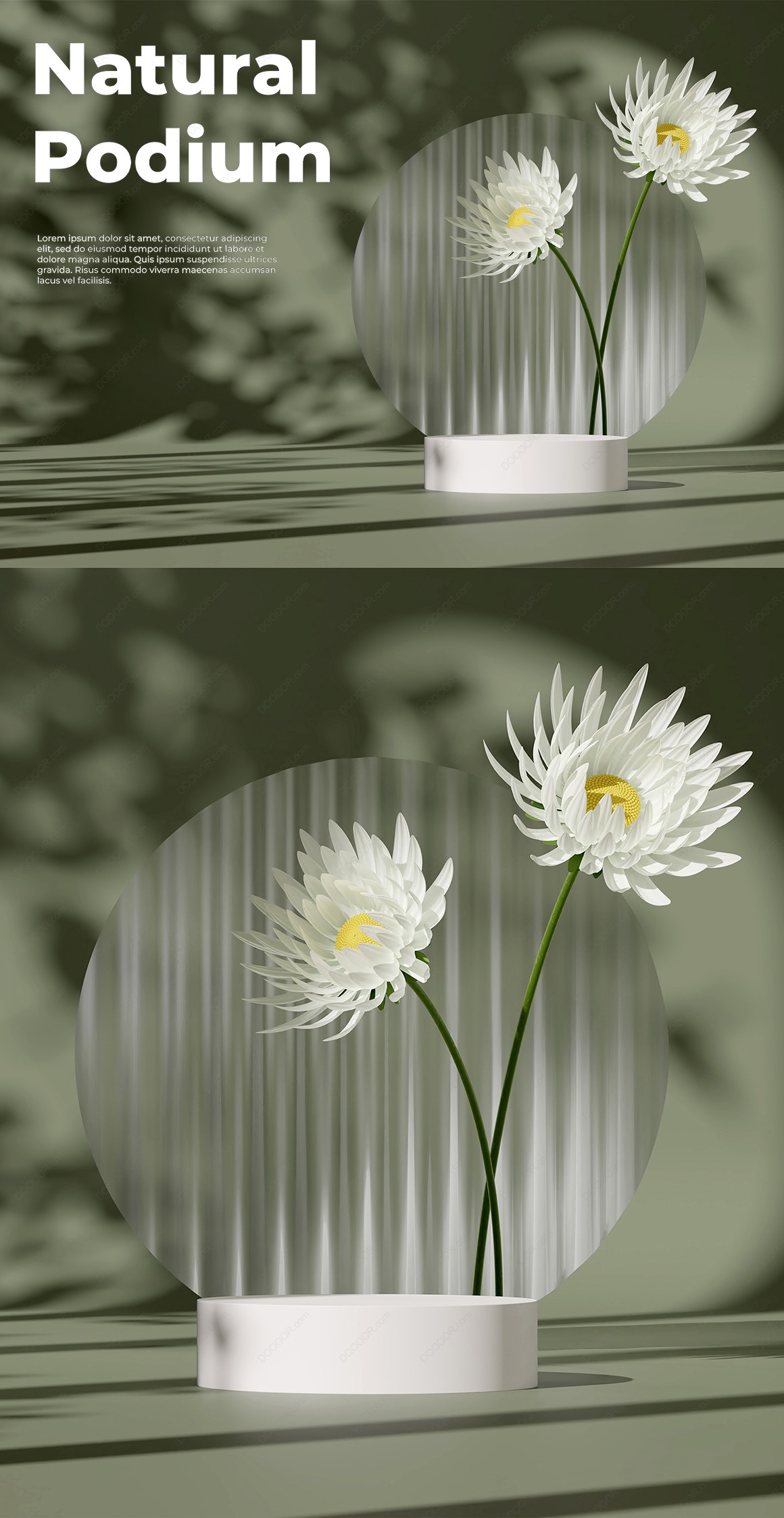 03852_自然环境墨绿色叶影斑驳3D产品展示台渲染PSD模型素材-6.jpg