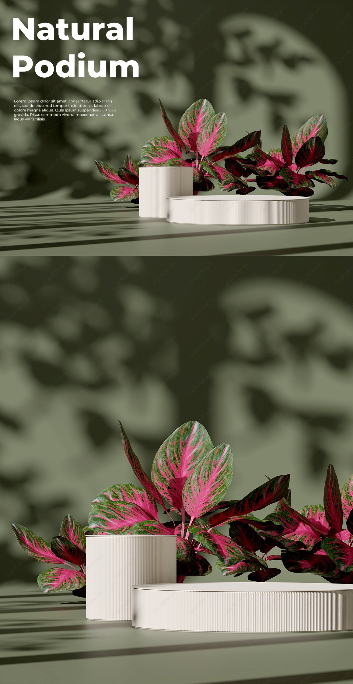 03857_自然环境墨绿色叶影斑驳3D产品展示台渲染PSD模型素材-11.jpg