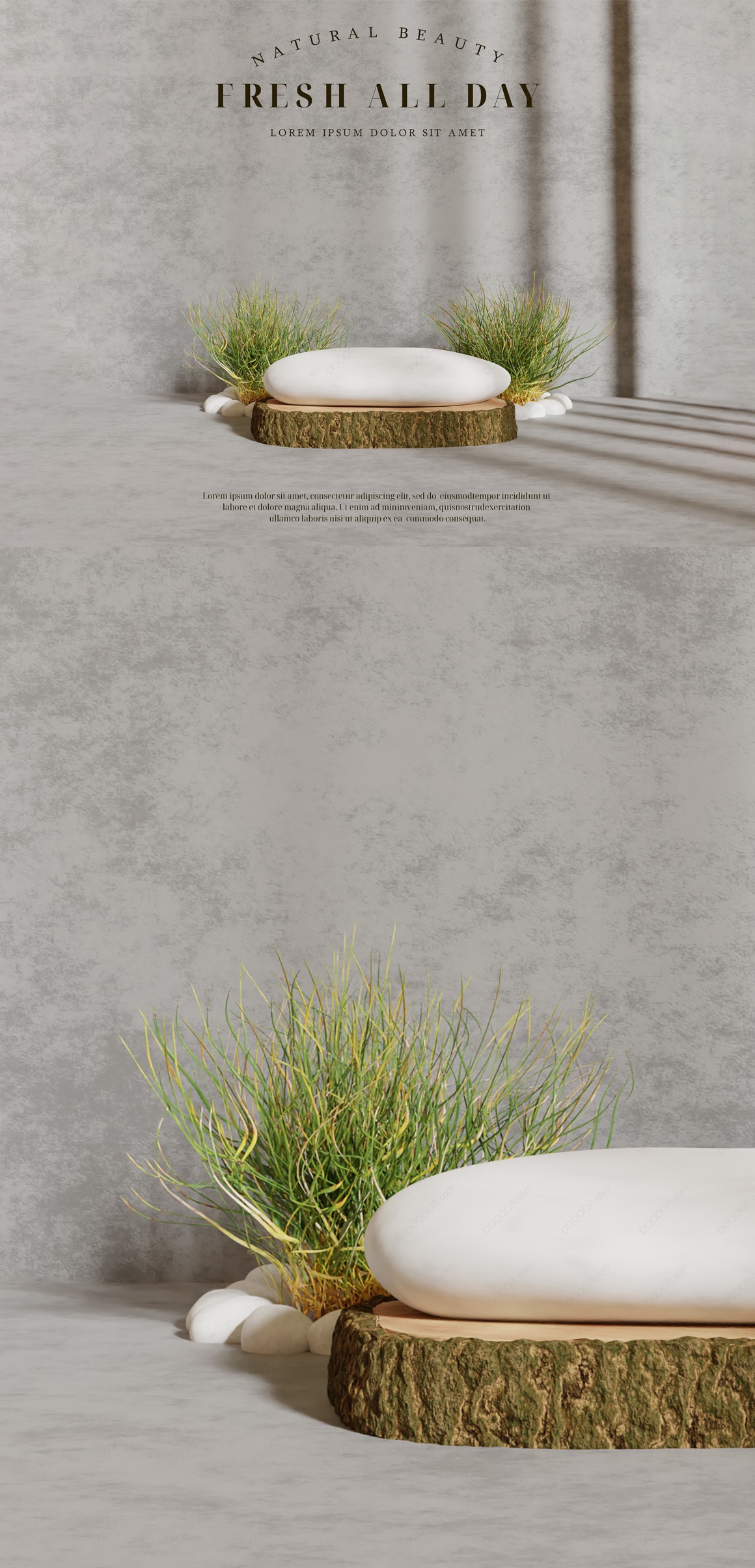 03861_自然景观水草植物与混凝土墙壁产品展示模型PSD素材-3.jpg