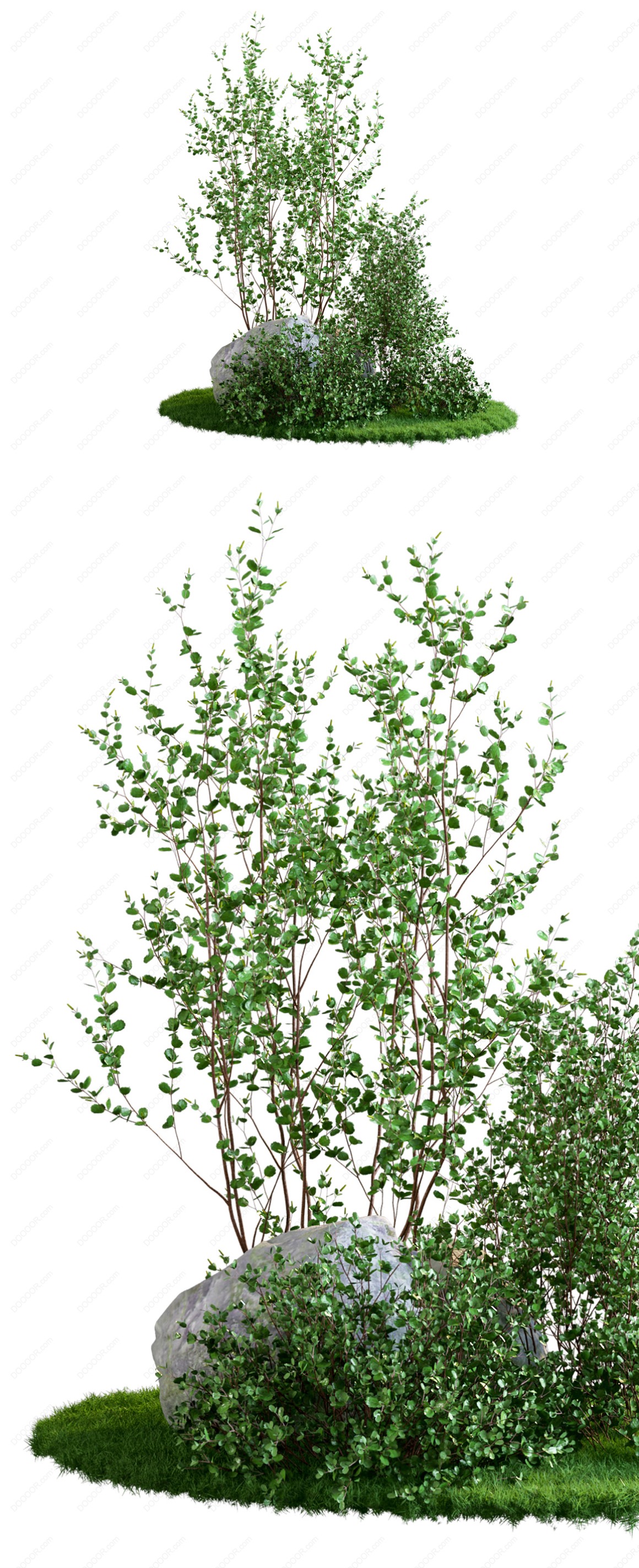 04118_绿色草本植物叶子透明园林景观设计PSD素材-1.jpg