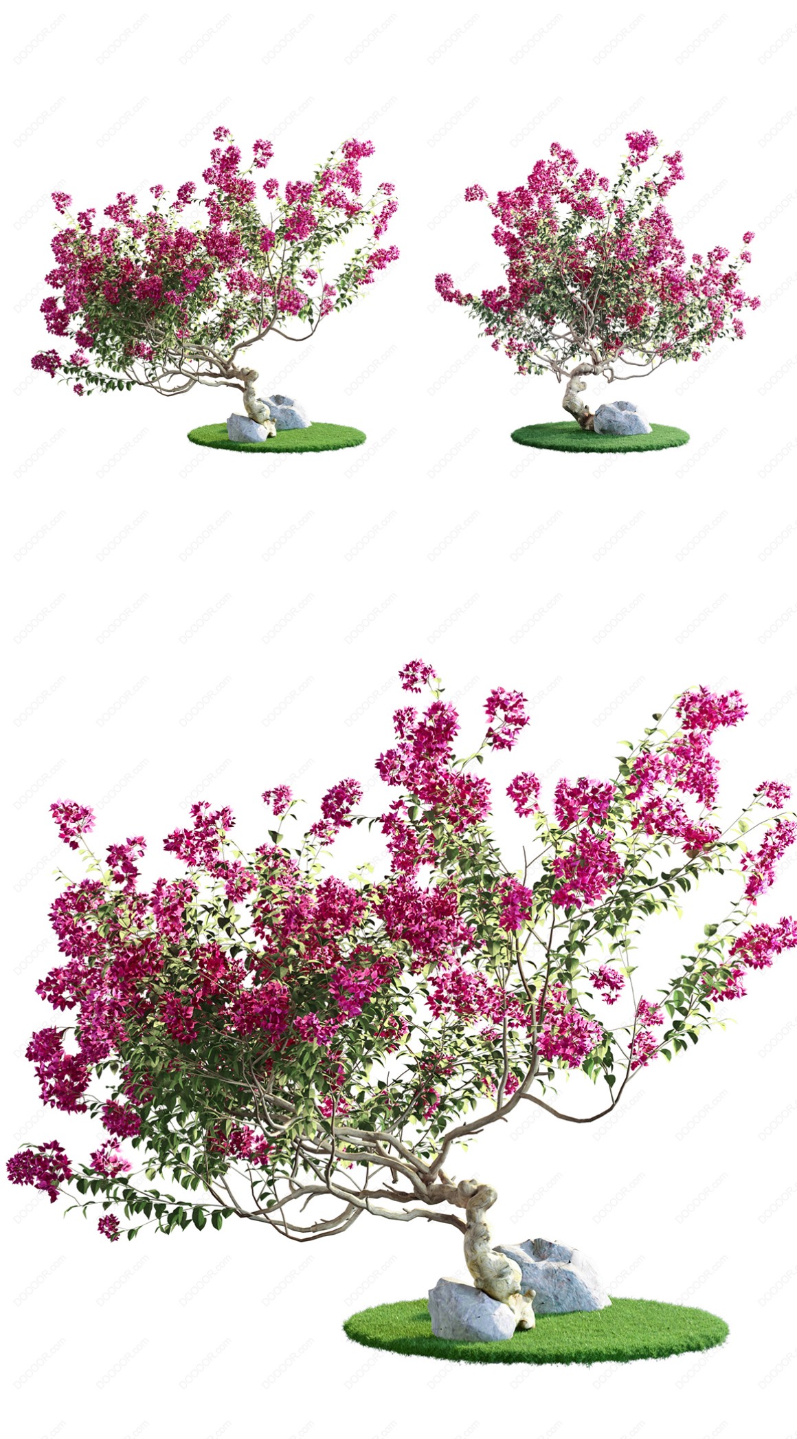 04160_绿色草本植物叶子透明园林景观设计PSD素材-43.jpg