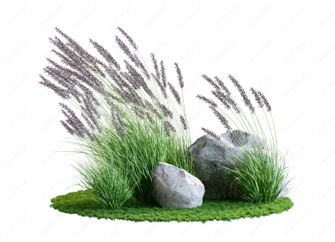 04161_绿色草本植物叶子透明园林景观设计PSD素材-44.jpg