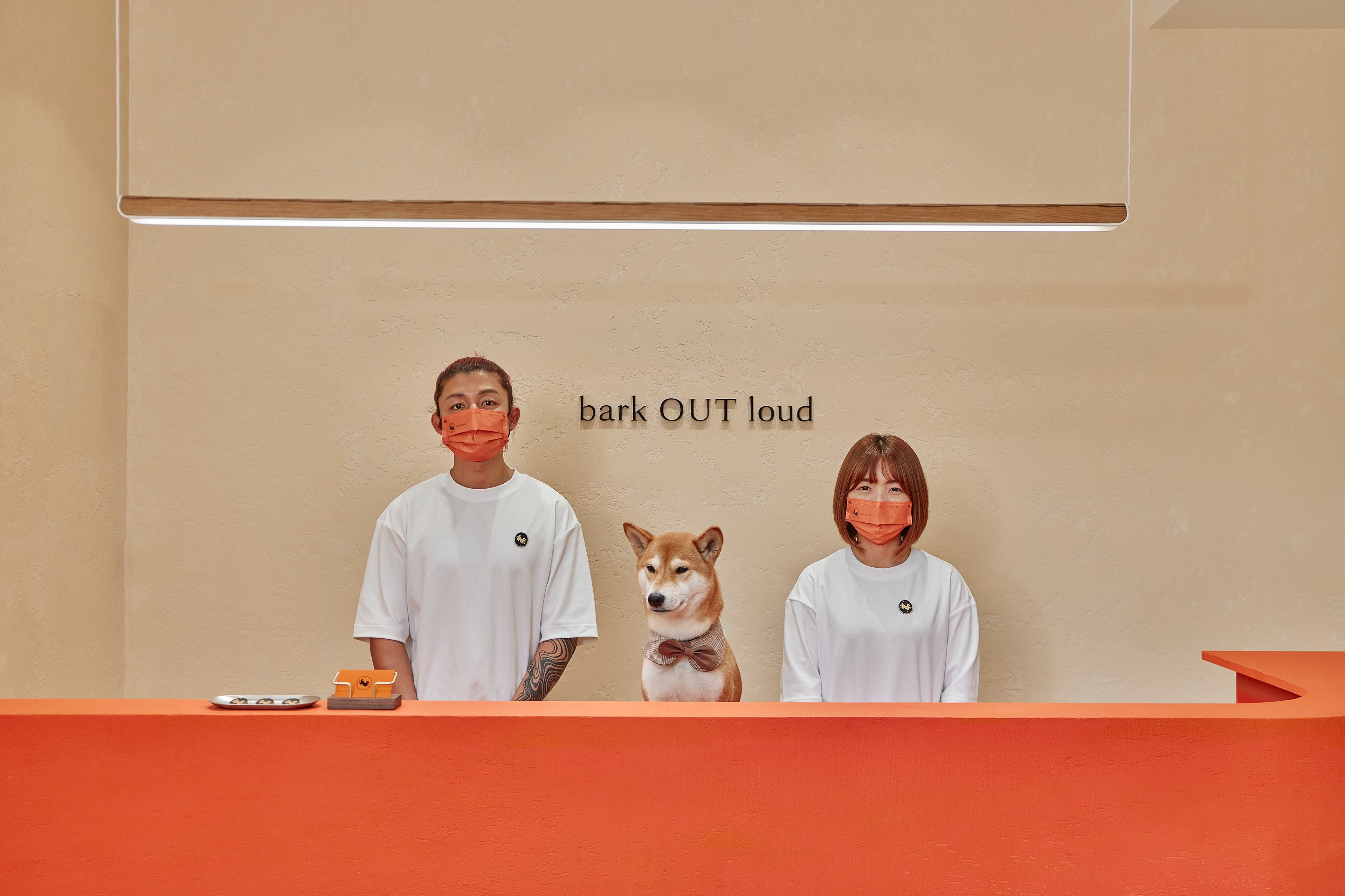宠物品牌VI视觉识别设计-15.jpg