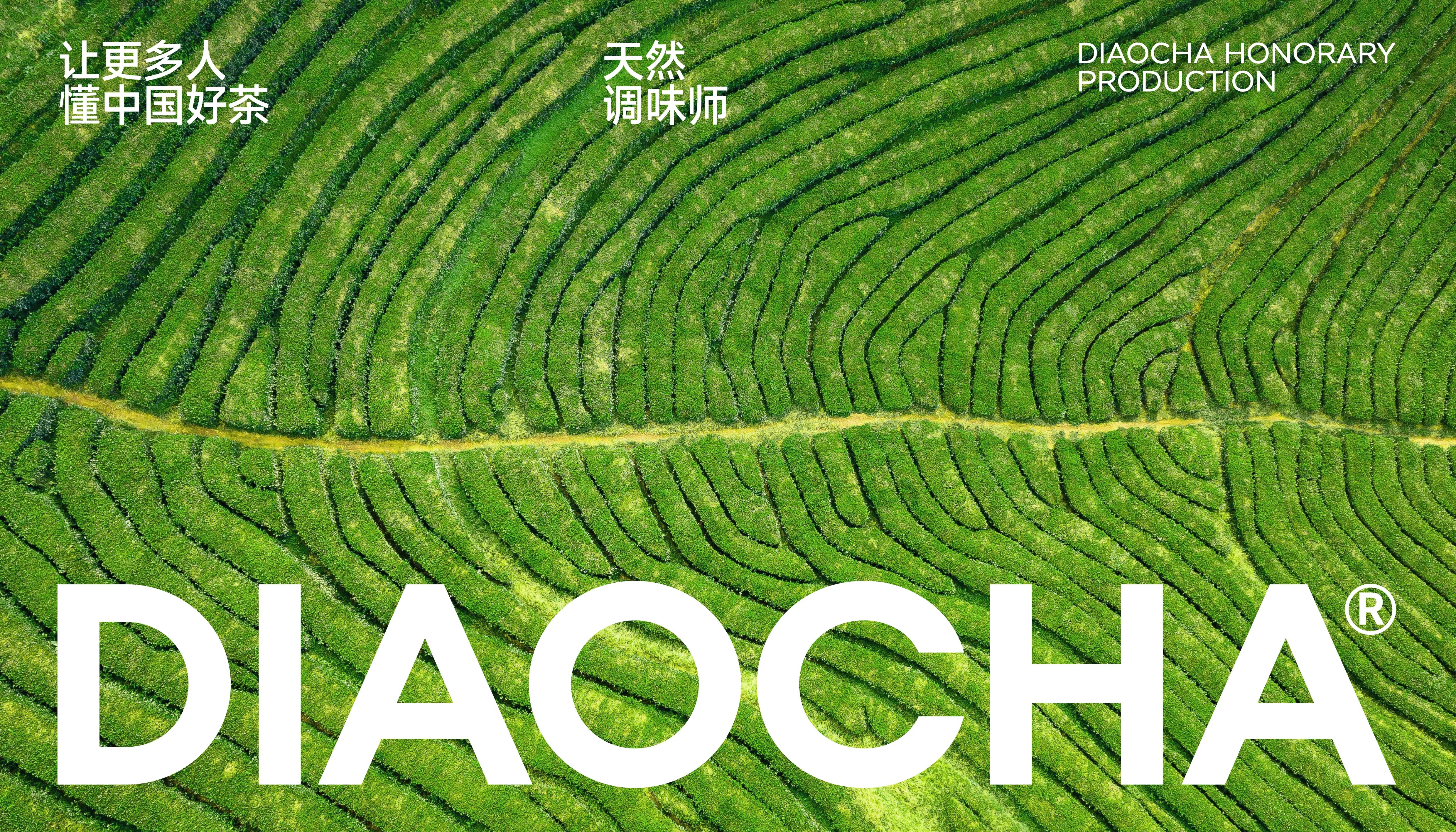 DIAOCHA调茶品牌全案设计｜茶叶包装｜包装设计-06.jpg