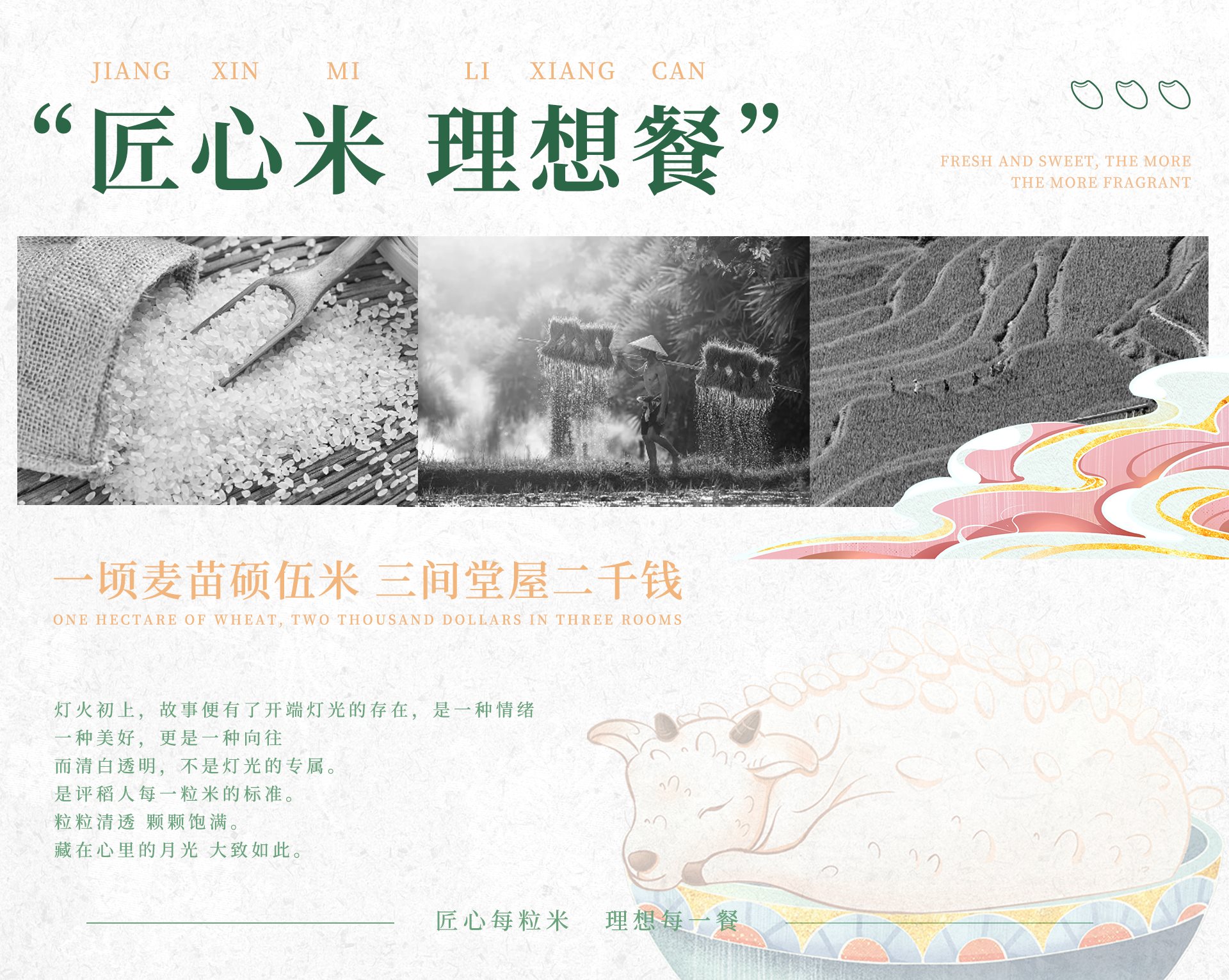农副产品+国风肌理插画+大米包装-19.jpg