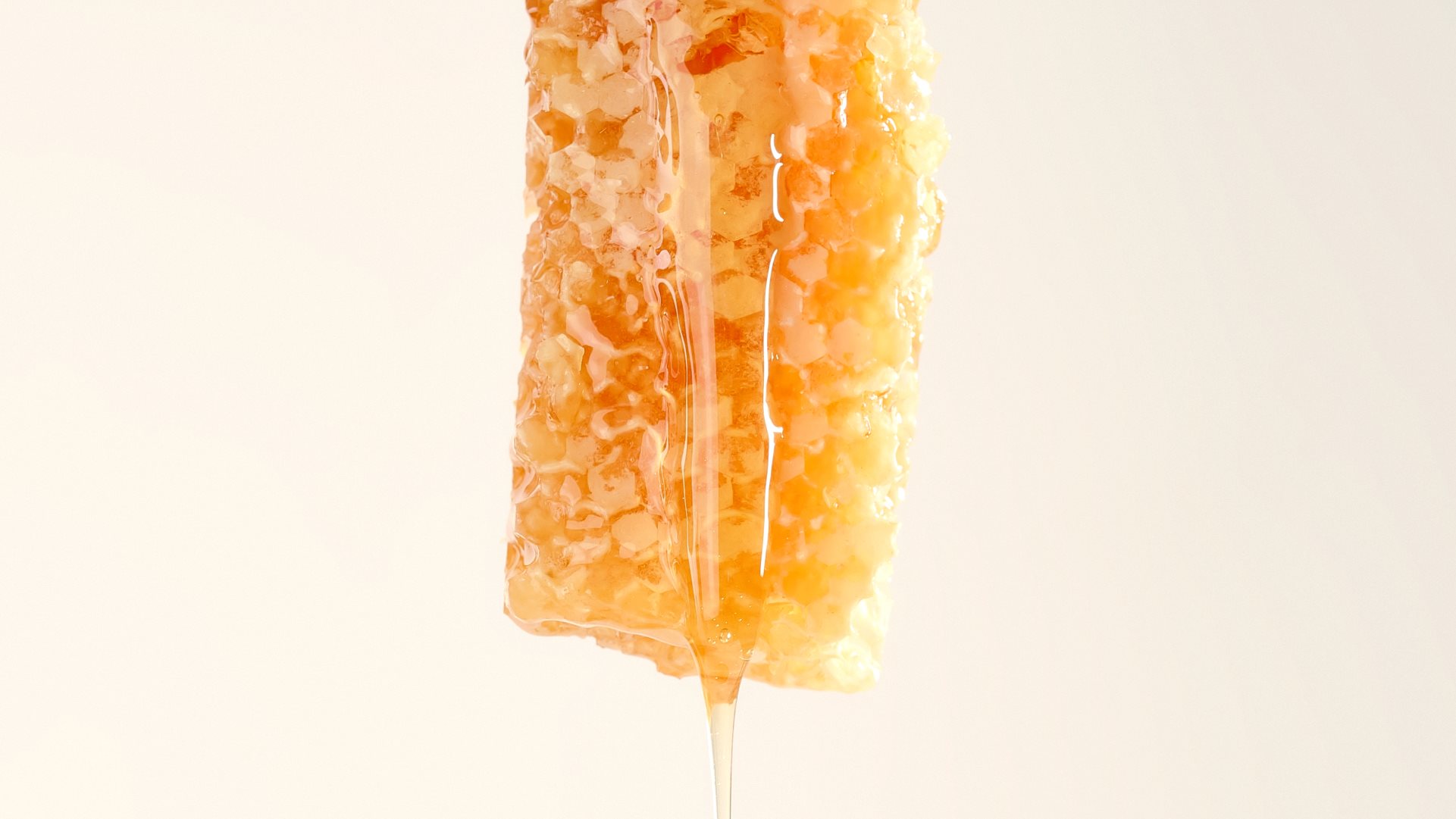 视觉识别+蜂蜜+自然+美食摄影+品牌识别+标志设计-10.jpg