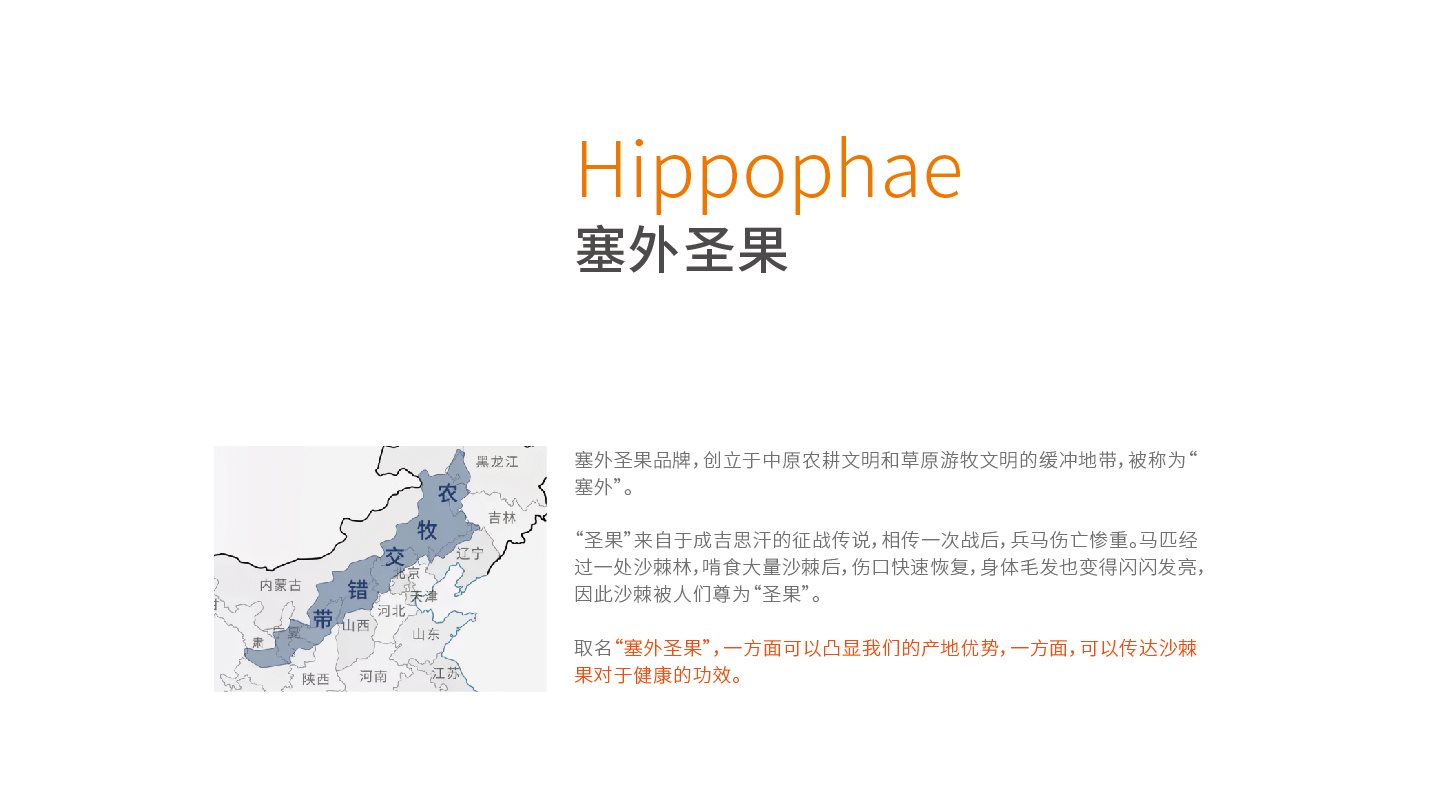 沙棘原浆包装+饮料包装+食品包装设计+LOGO+VI设计+ip-01.jpg