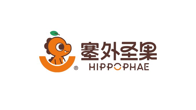 沙棘原浆包装+饮料包装+食品包装设计+LOGO+VI设计+ip-02.jpg