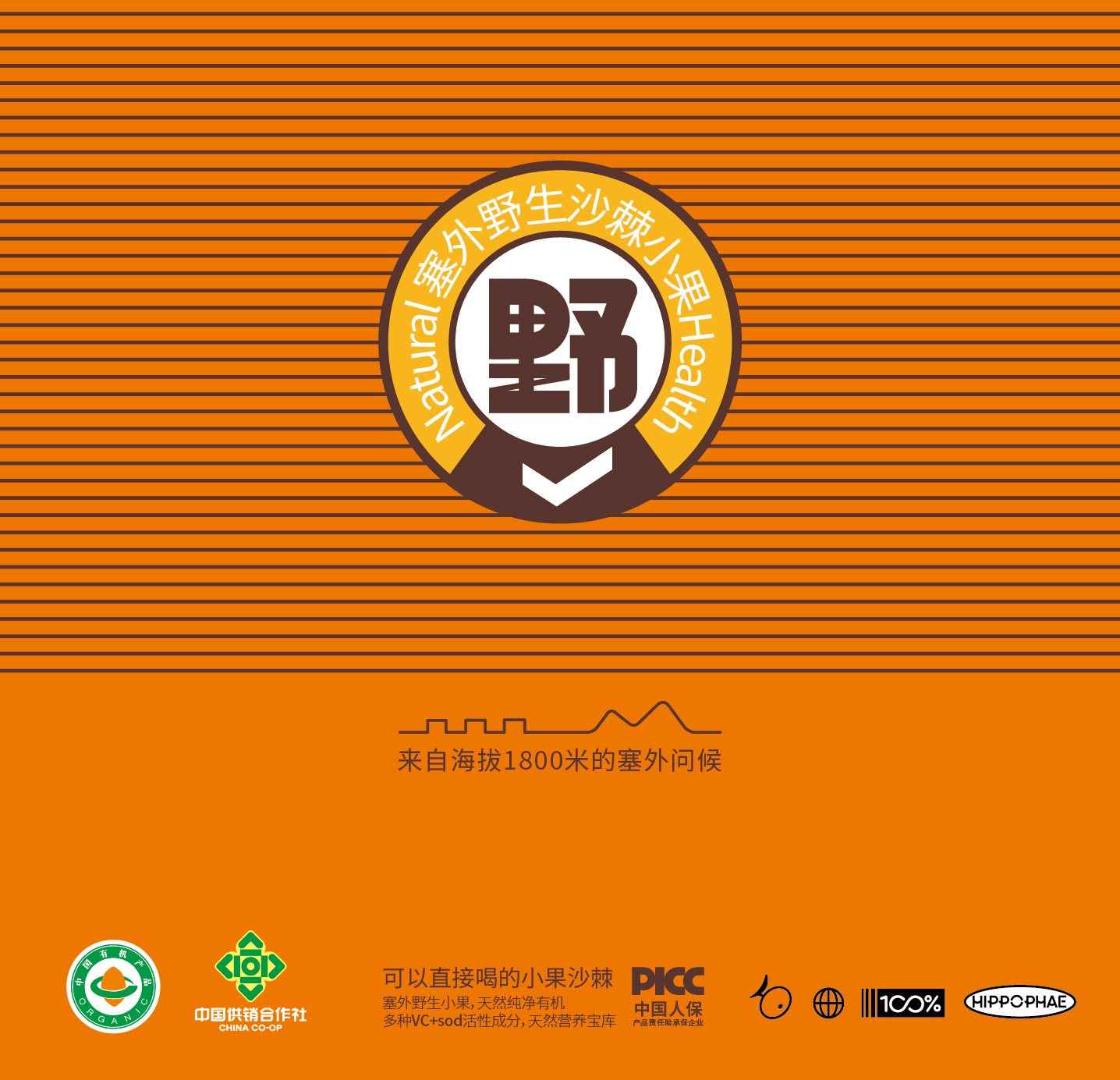 沙棘原浆包装+饮料包装+食品包装设计+LOGO+VI设计+ip-13.jpg