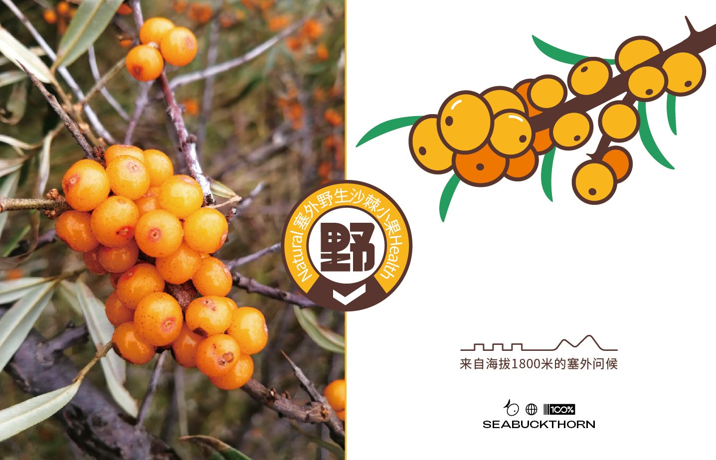 沙棘原浆包装+饮料包装+食品包装设计+LOGO+VI设计+ip-17.jpg