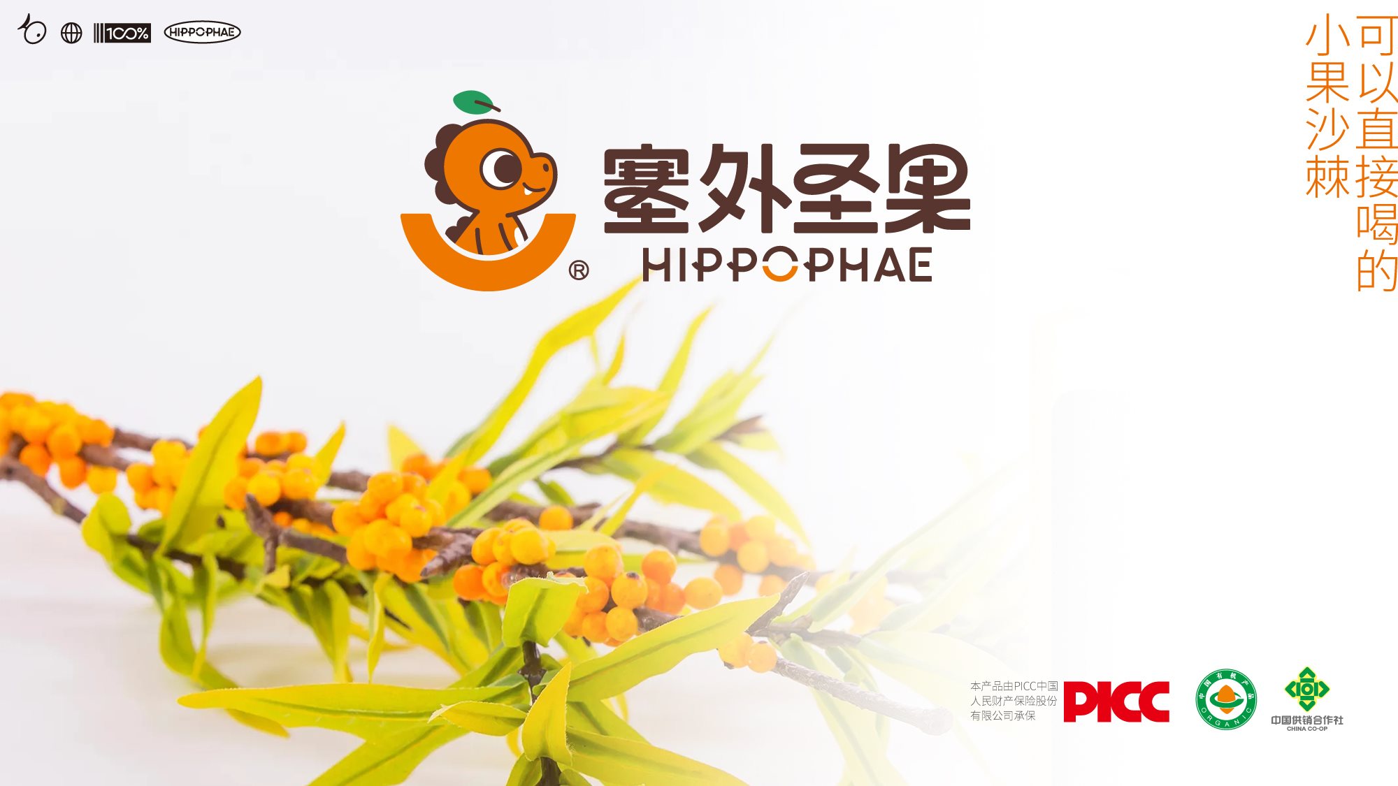 沙棘原浆包装+饮料包装+食品包装设计+LOGO+VI设计+ip-20.jpg