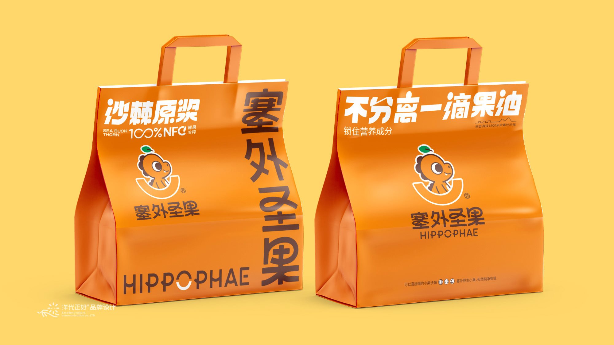 沙棘原浆包装+饮料包装+食品包装设计+LOGO+VI设计+ip-23.jpg